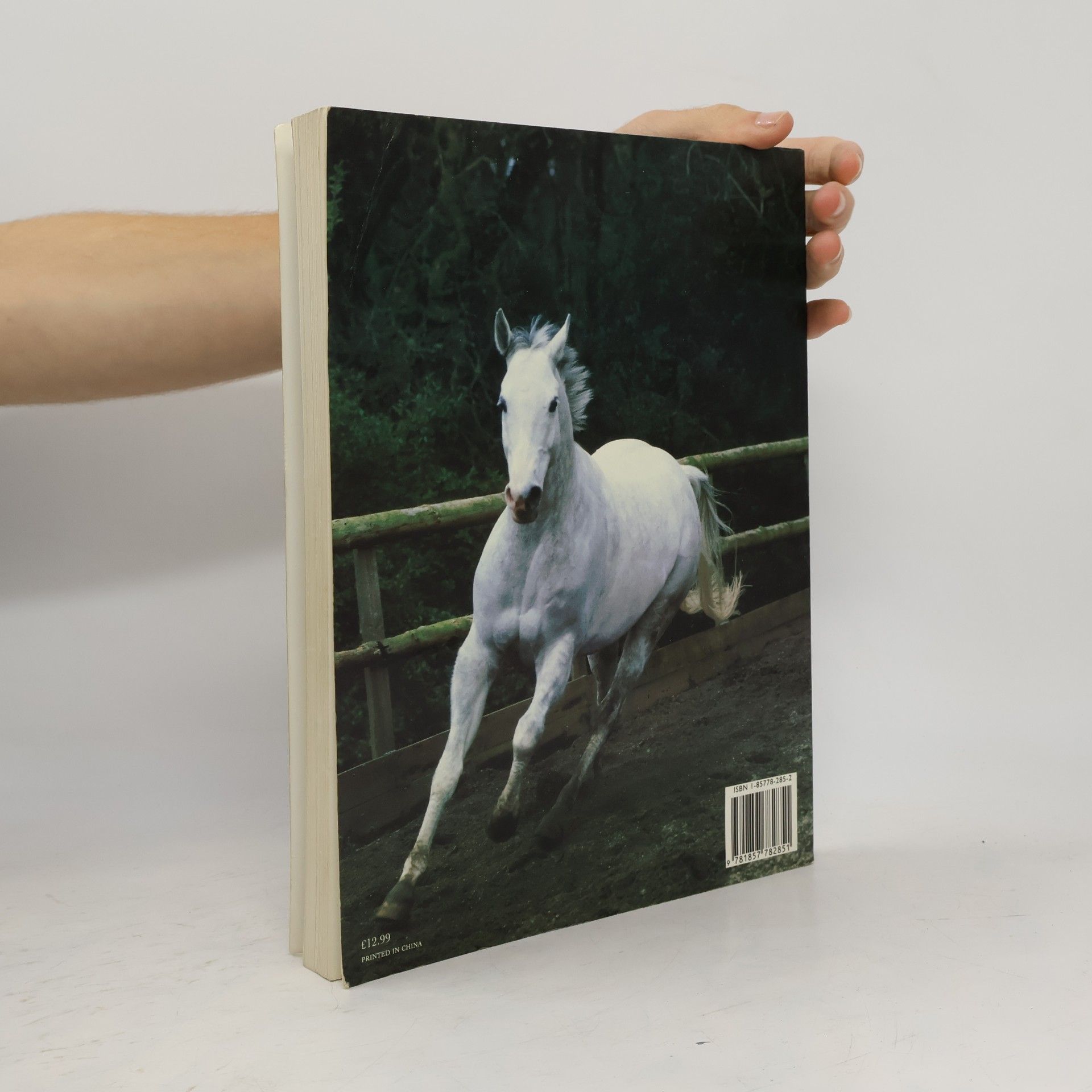 Lynda Springate Encyclopedia of the Horse