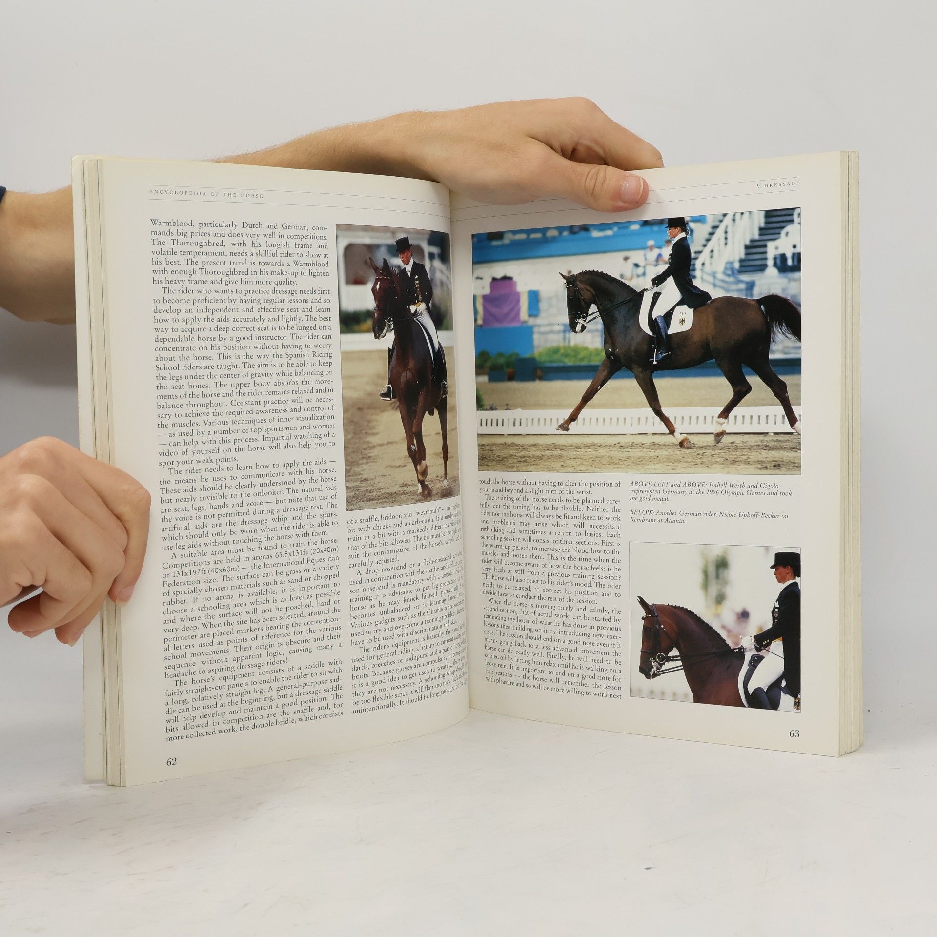 Lynda Springate Encyclopedia of the Horse