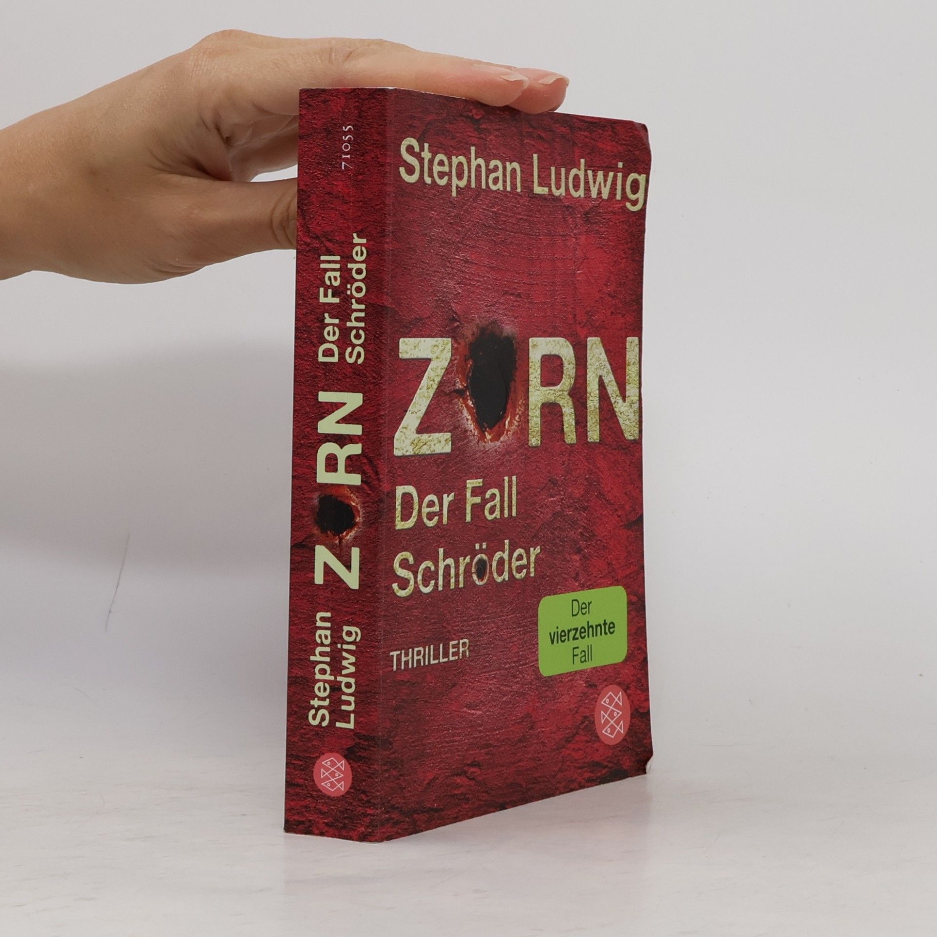 Stephan Ludwig Zorn - Der Fall Schröder / Hauptkommissar Claudius Zorn Bd.14