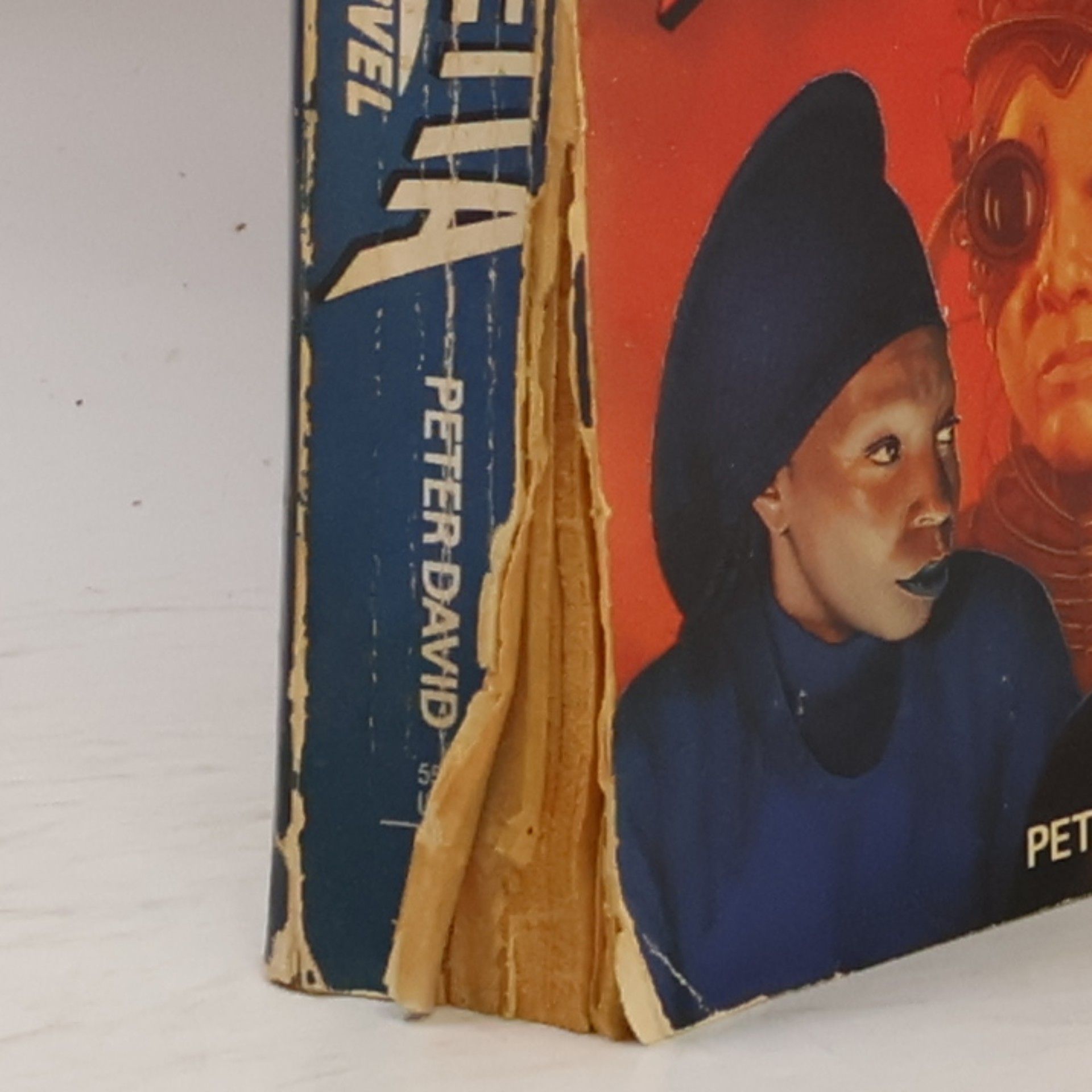 Peter David Star Trek: The Next Generation: Vendetta