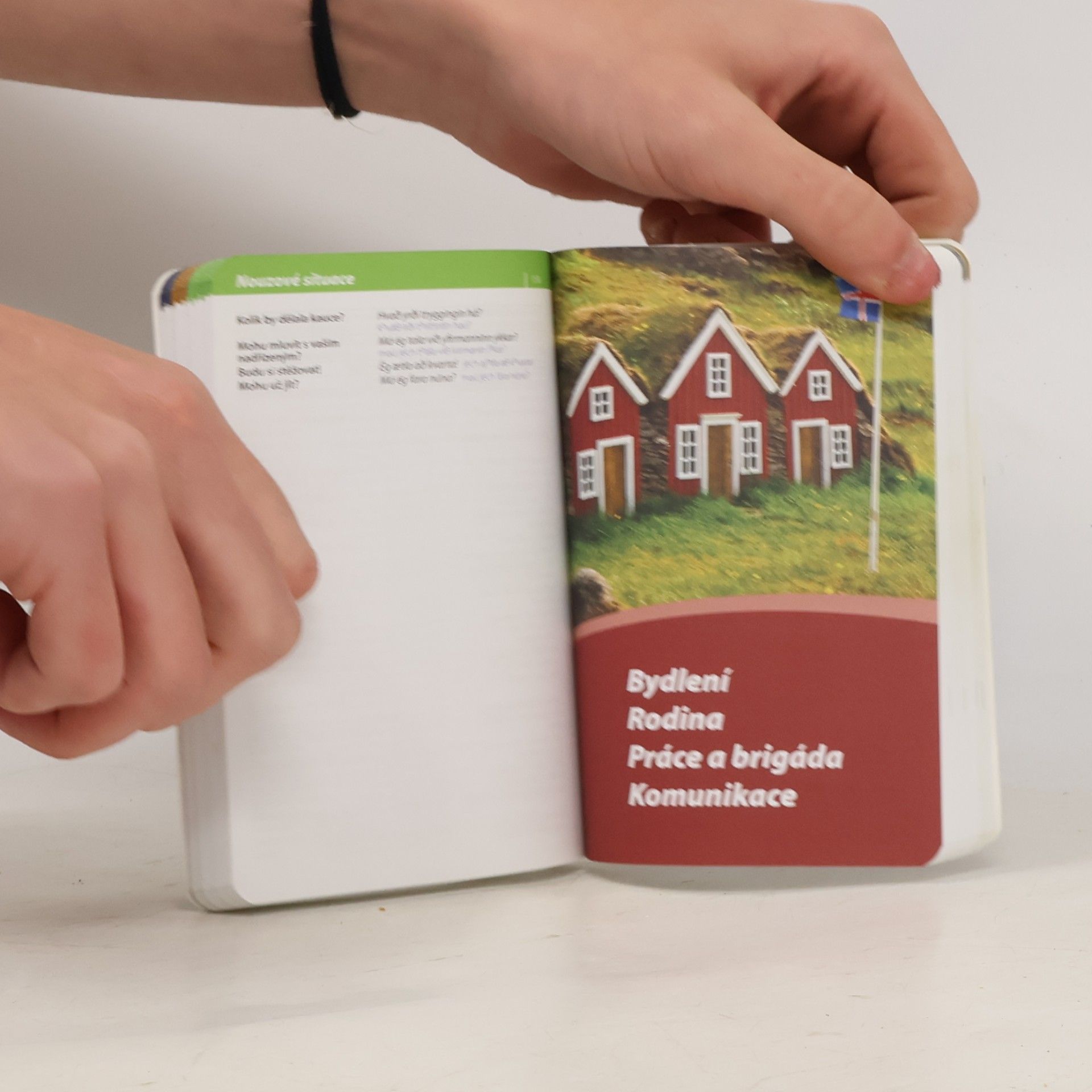 Autores varios Islandština konverzace se slovníkem a gramatikou