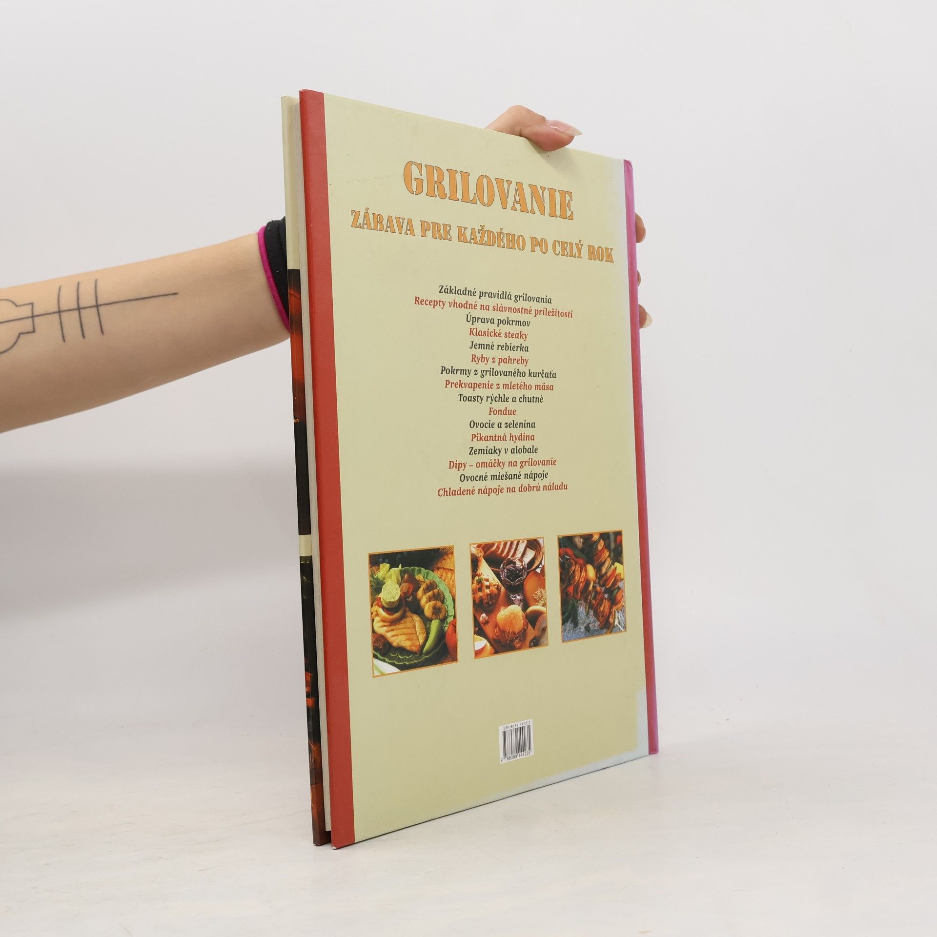 Autorenkollektiv Grilujeme doma aj v prírode