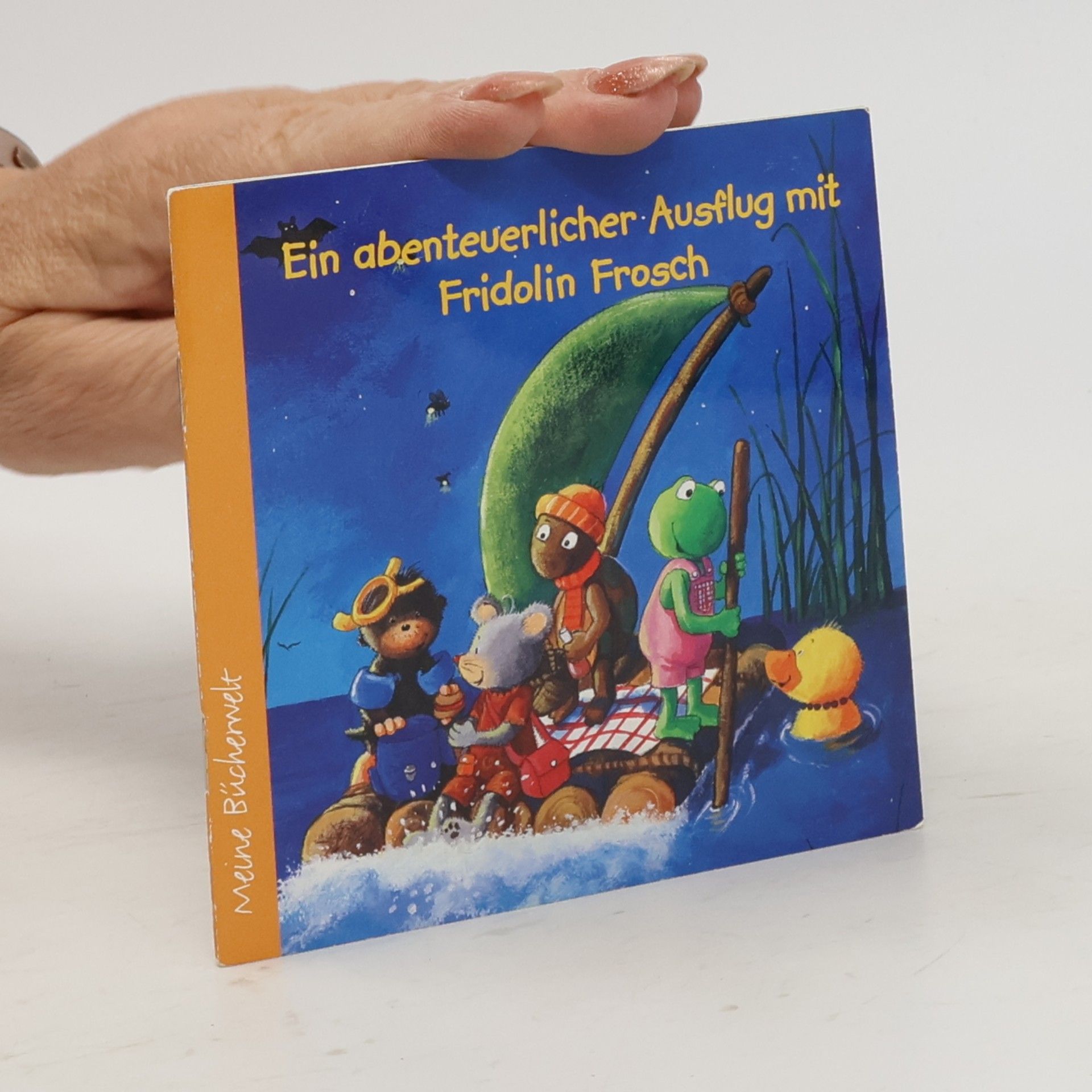Various authors Ein abenteuerlicher Ausflug mit Fridolin Frosch