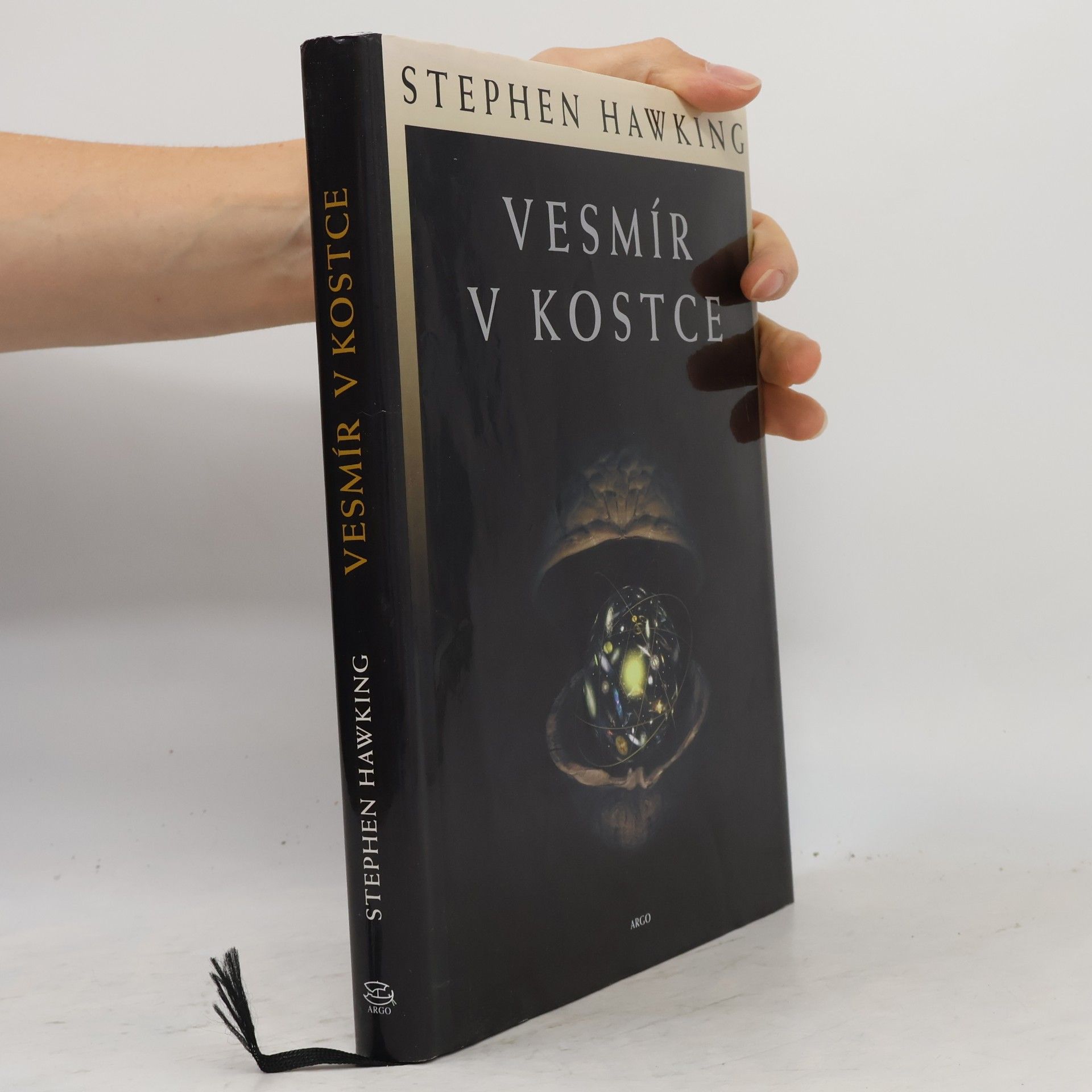 Stephen Hawking Vesmír v kostce