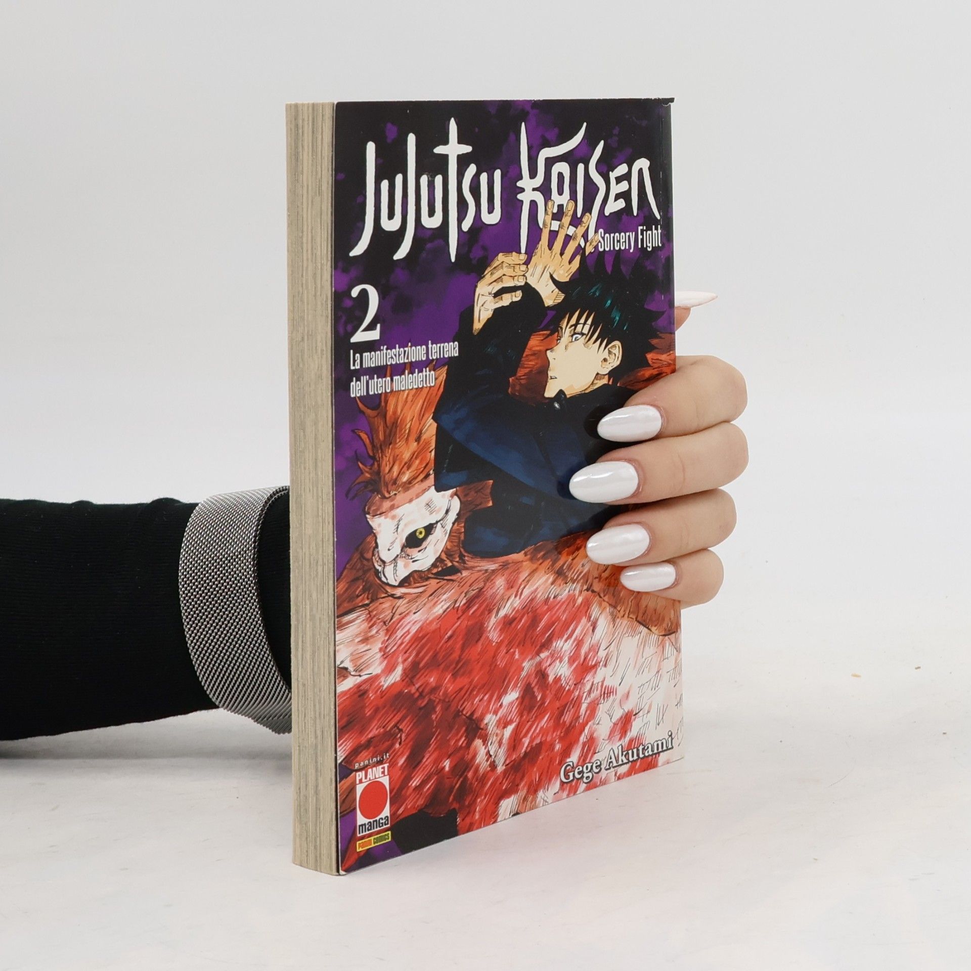 Gege Akutami Jujutsu Kaisen. Sorcery Fight