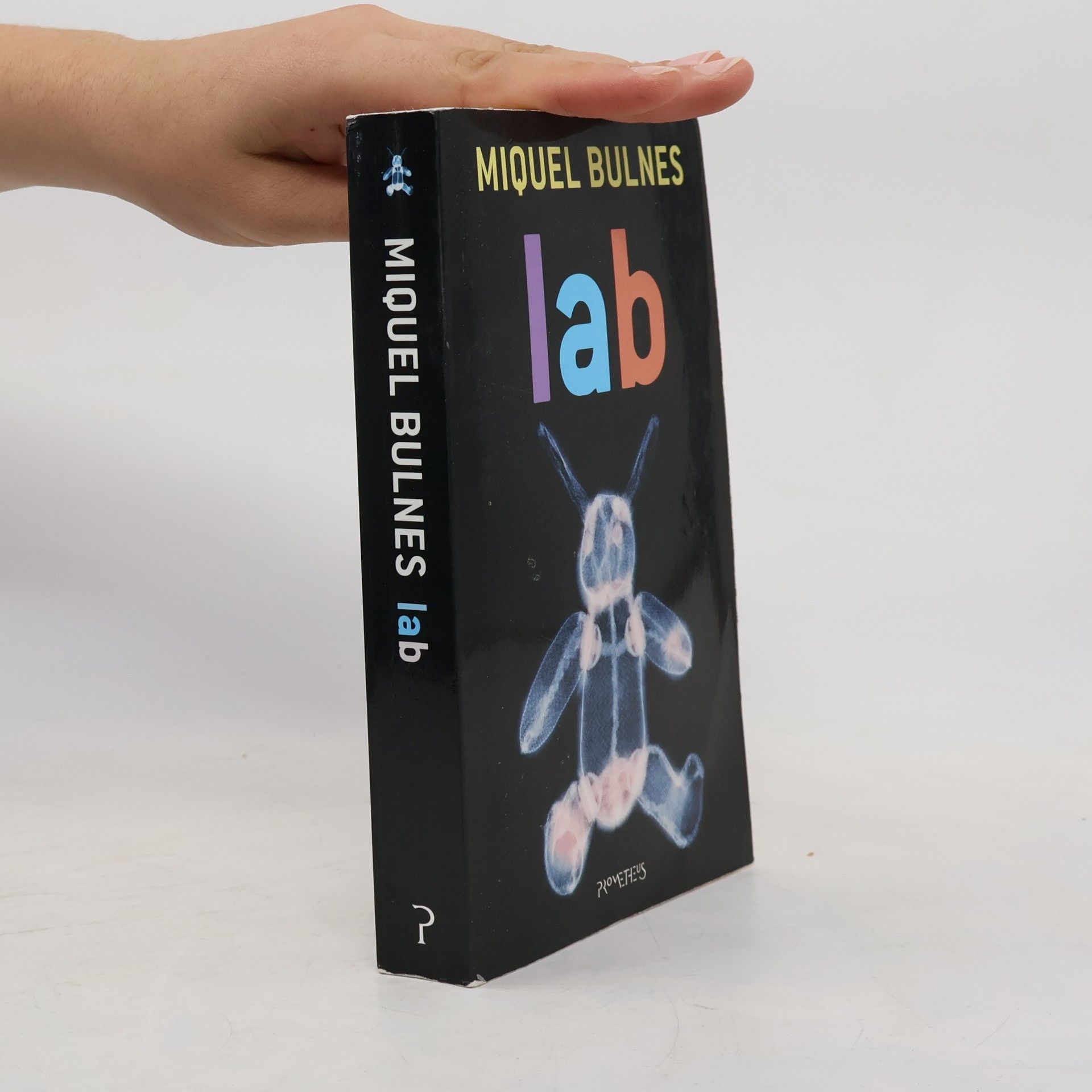 Miquel Bulnes Lab