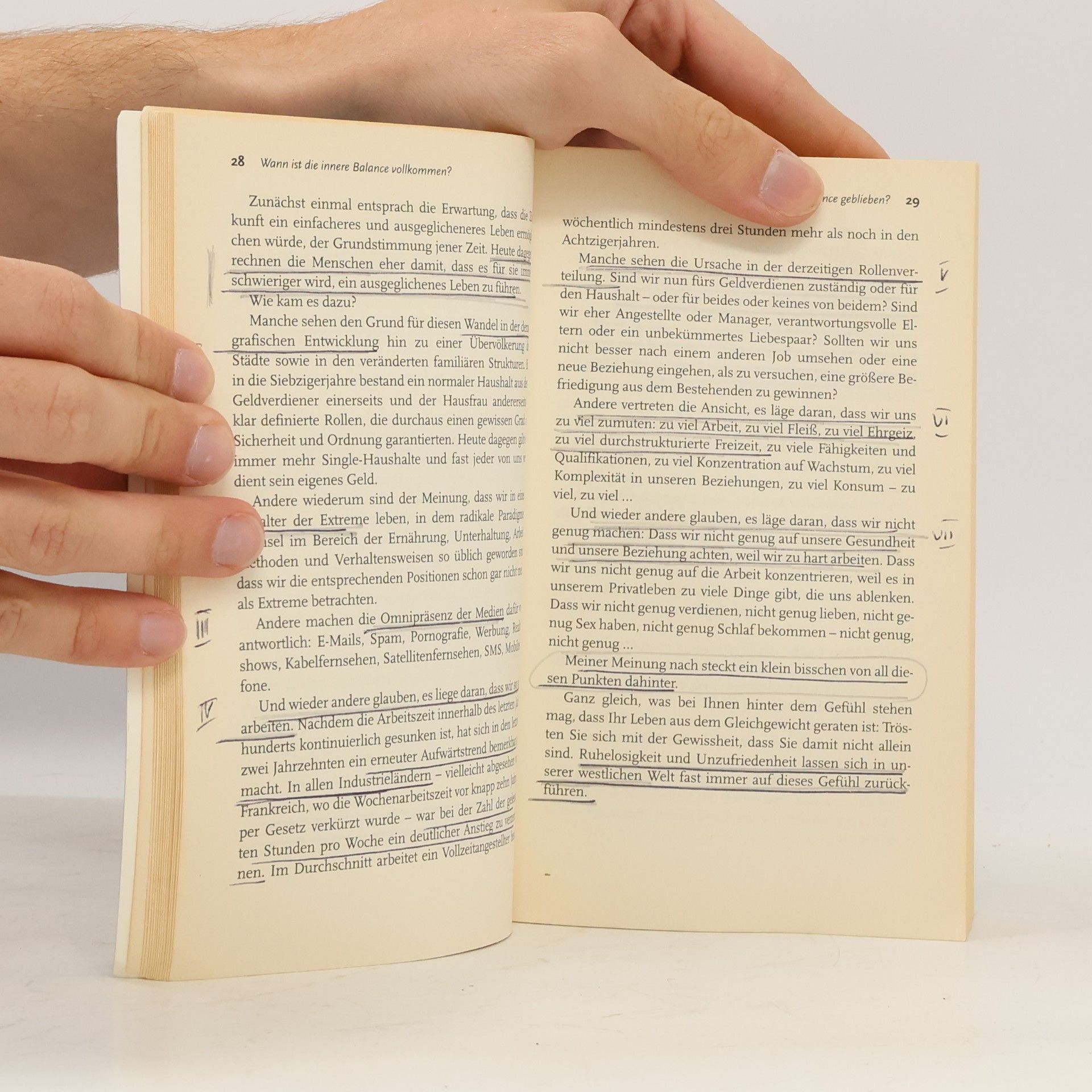 Paul Wilson Das große Buch der inneren Balance
