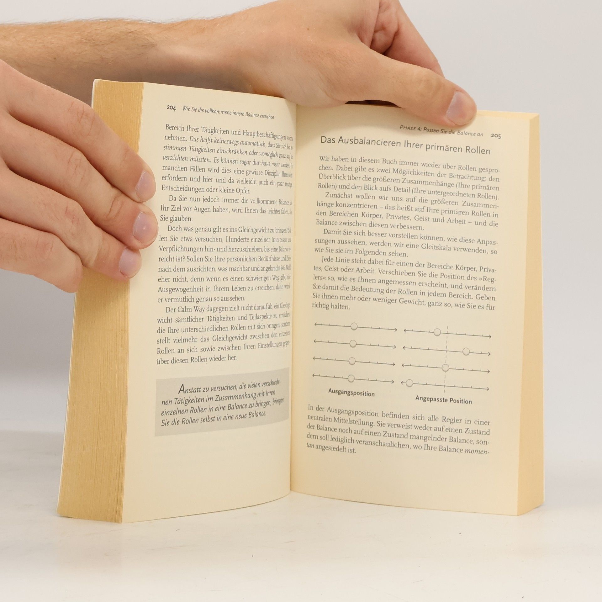 Paul Wilson Das große Buch der inneren Balance