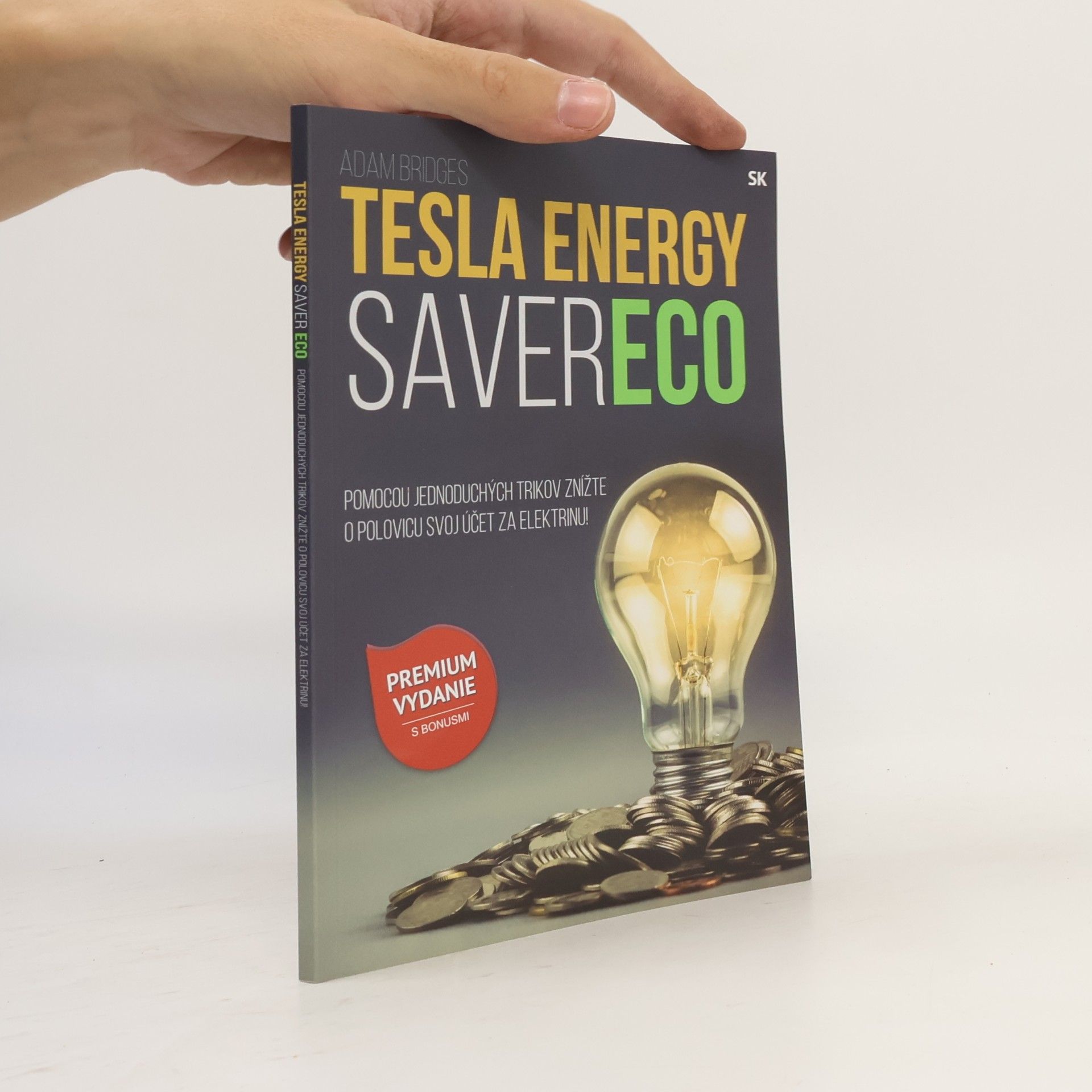 Adam Bridges Tesla Energy Saver Eco