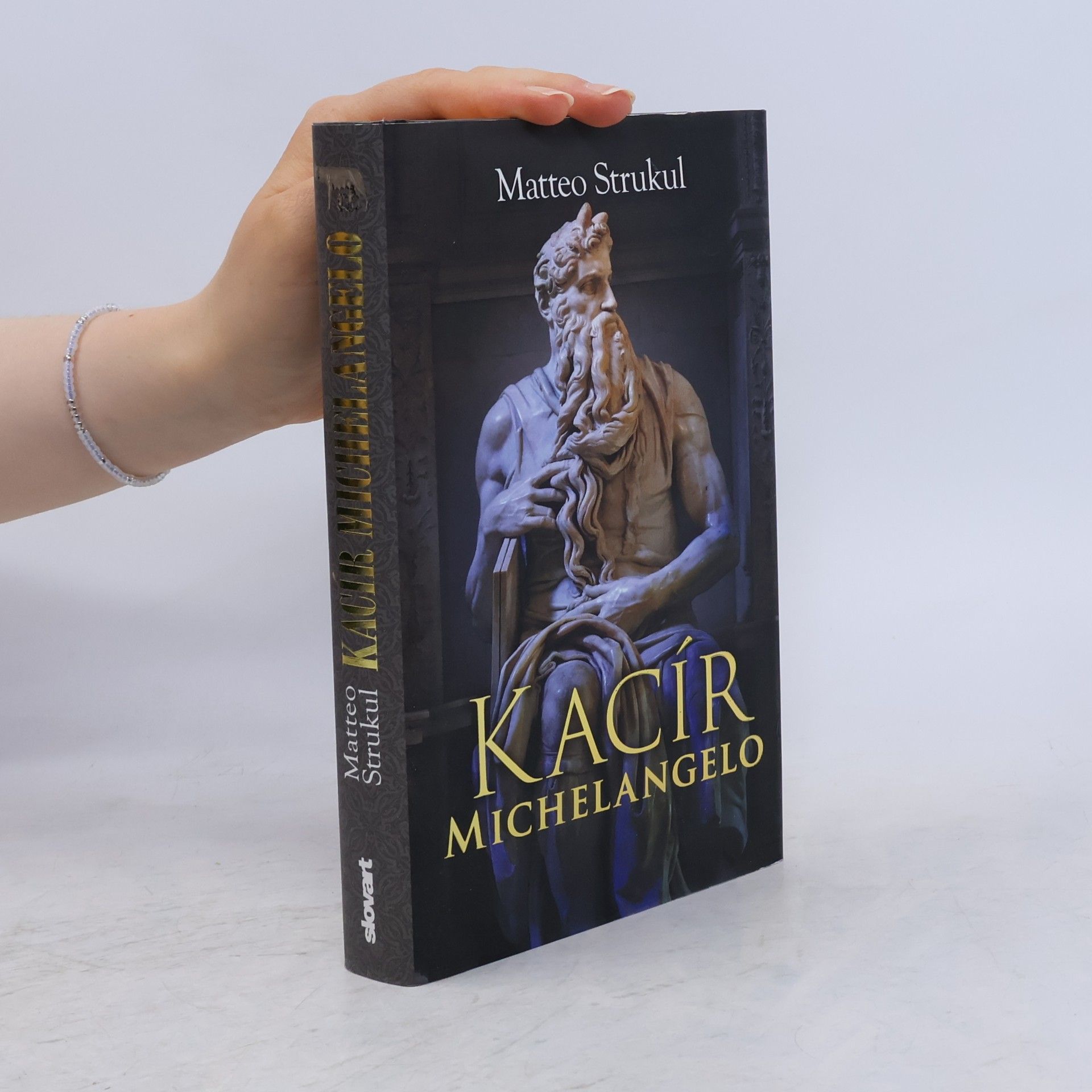 Matteo Strukul Kacír Michelangelo