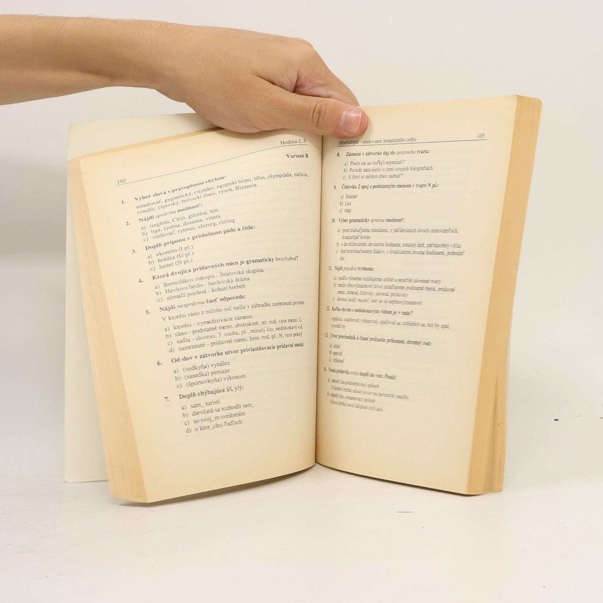 Ľubica Hybenová Nová zbierka testov zo slovenského jazyka a literatúry