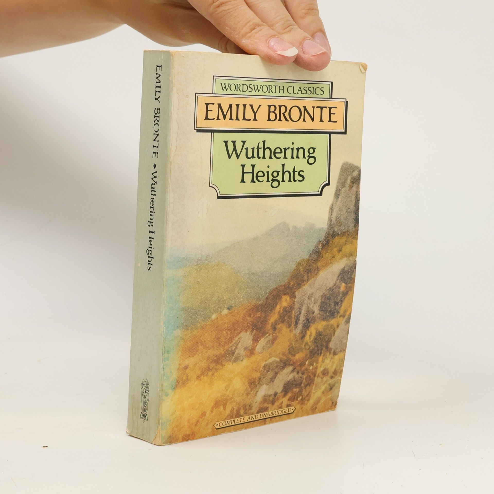 Emily Brontë Wuthering Heights