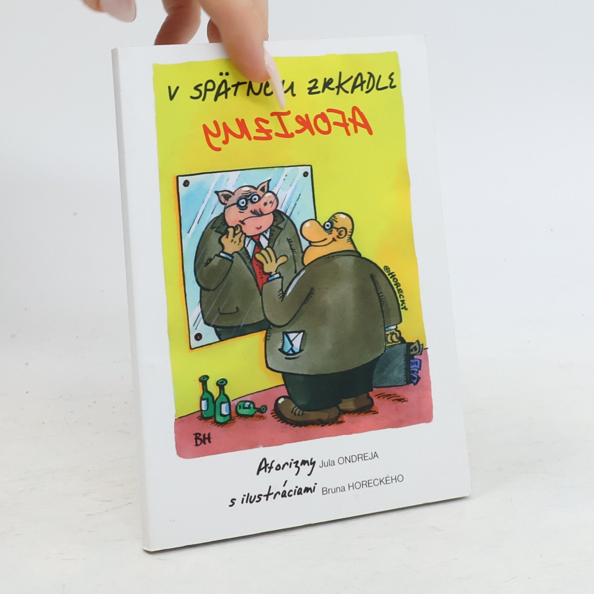 V spätnom zrkadle