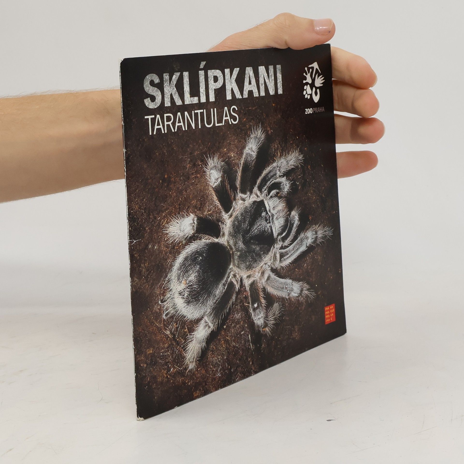 Sklípkani = Tarantulas
