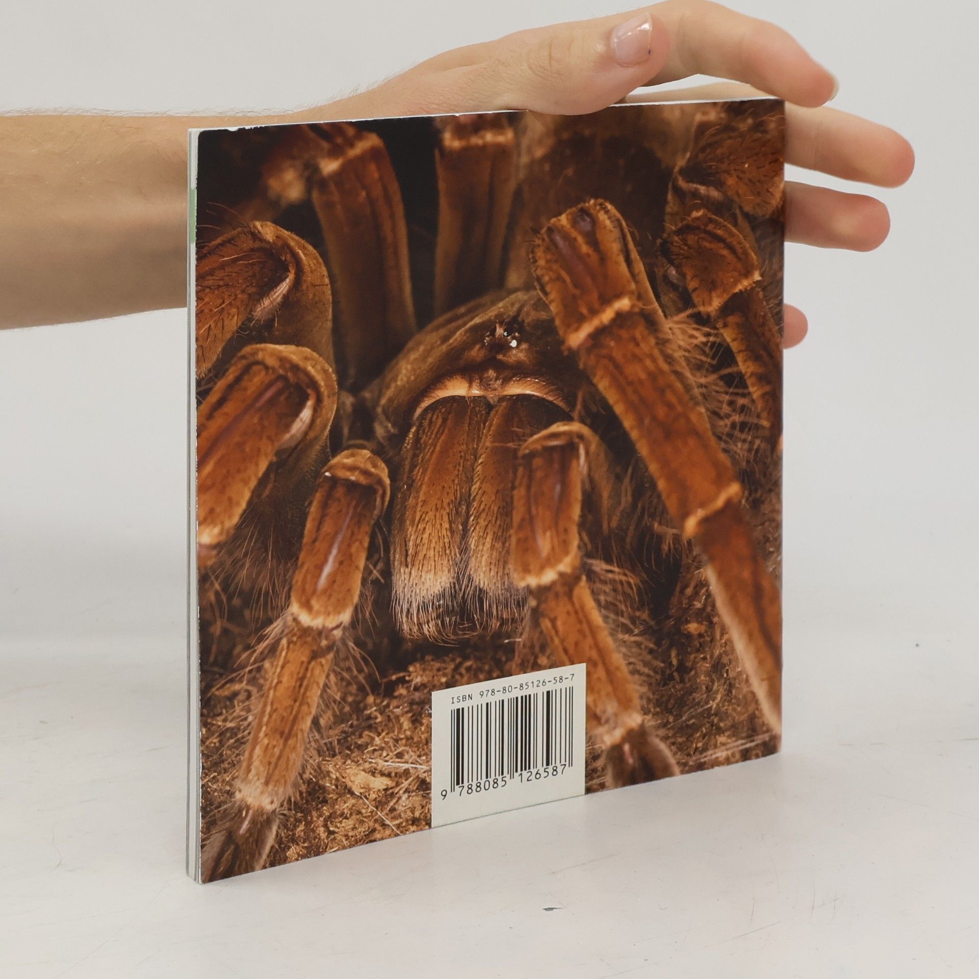 Martin Smrček Sklípkani = Tarantulas