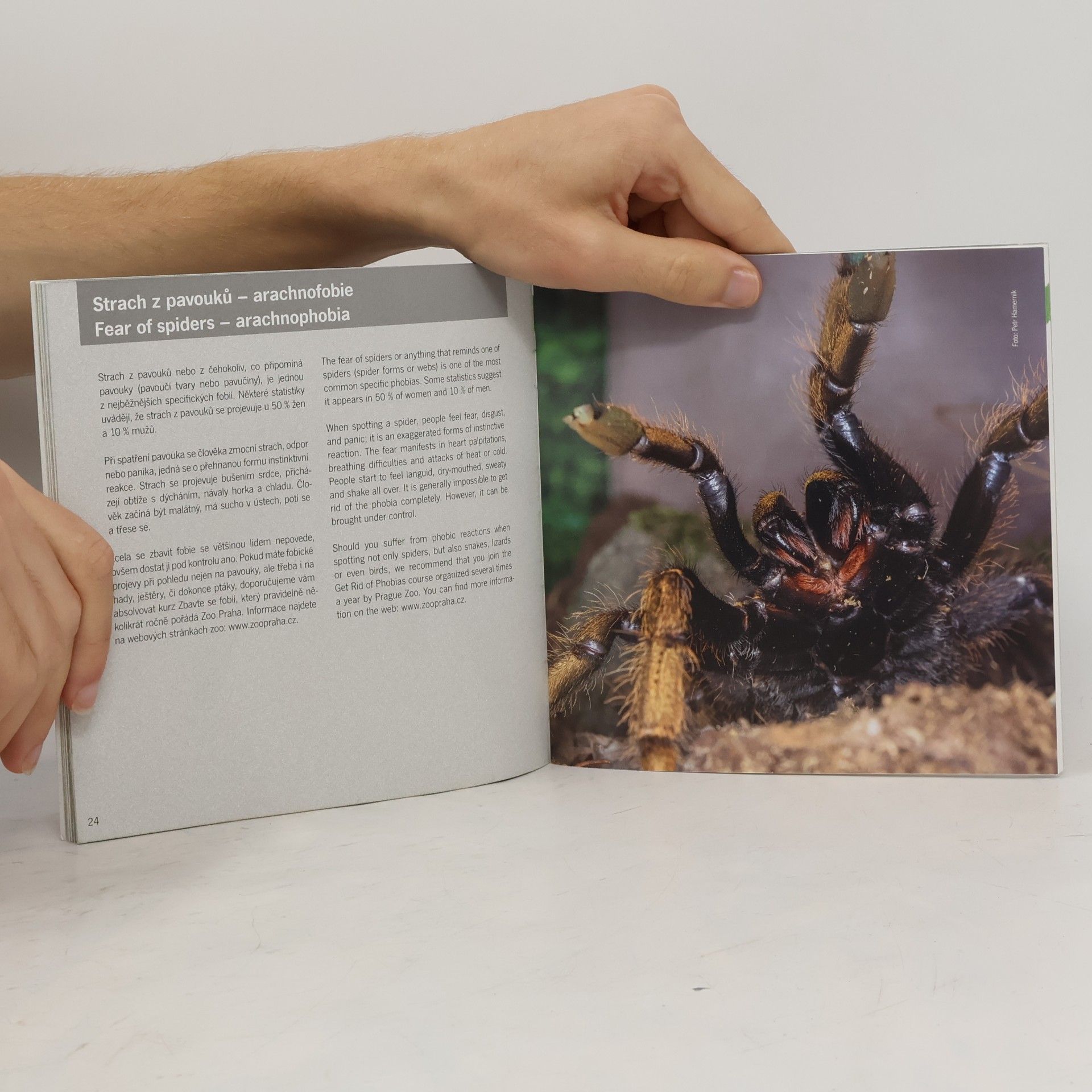 Martin Smrček Sklípkani = Tarantulas