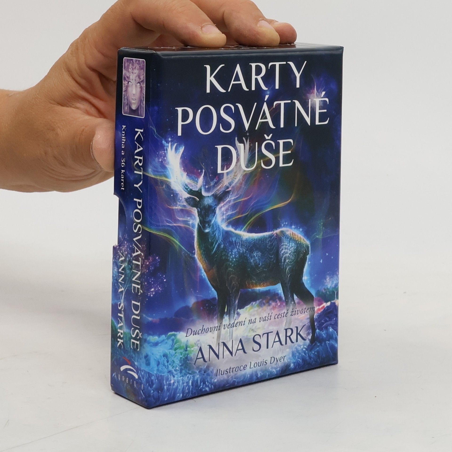 Anna Stark Karty posvátné duše