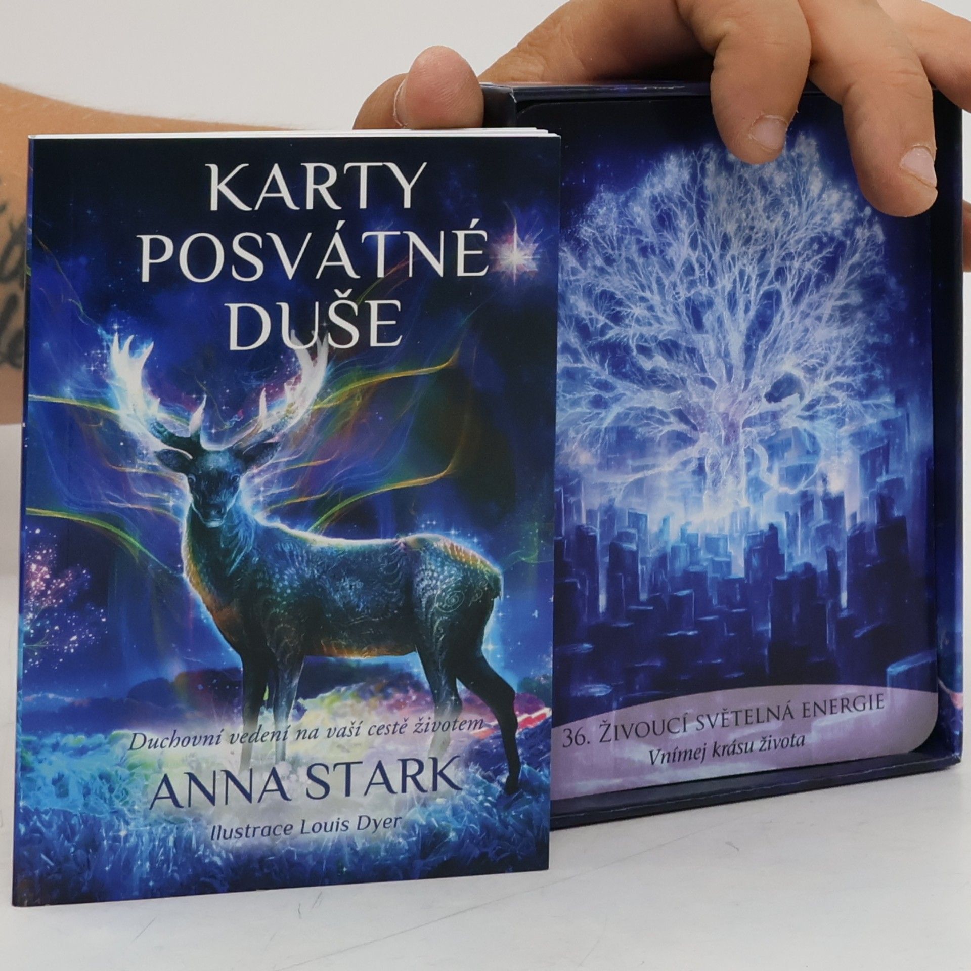 Anna Stark Karty posvátné duše