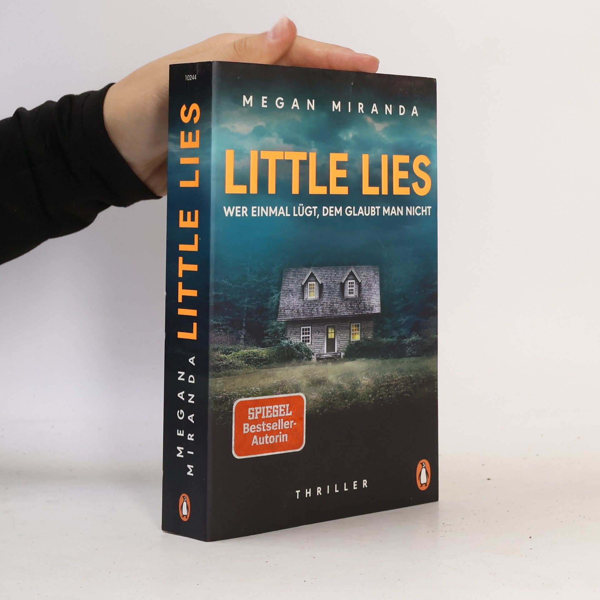 Megan Miranda LITTLE LIES – Wer einmal lügt, dem glaubt man nicht