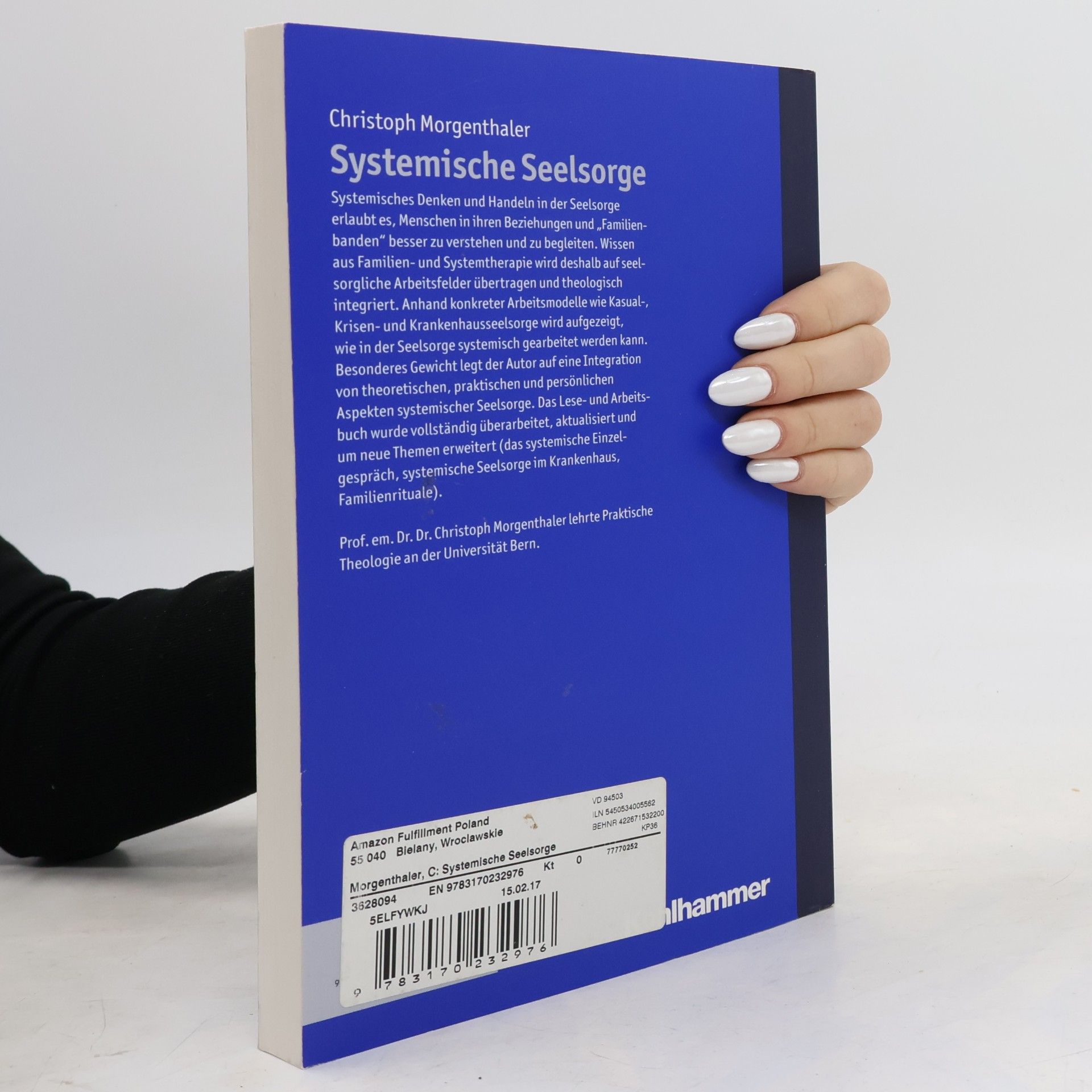 Christoph Morgenthaler Systemische Seelsorge