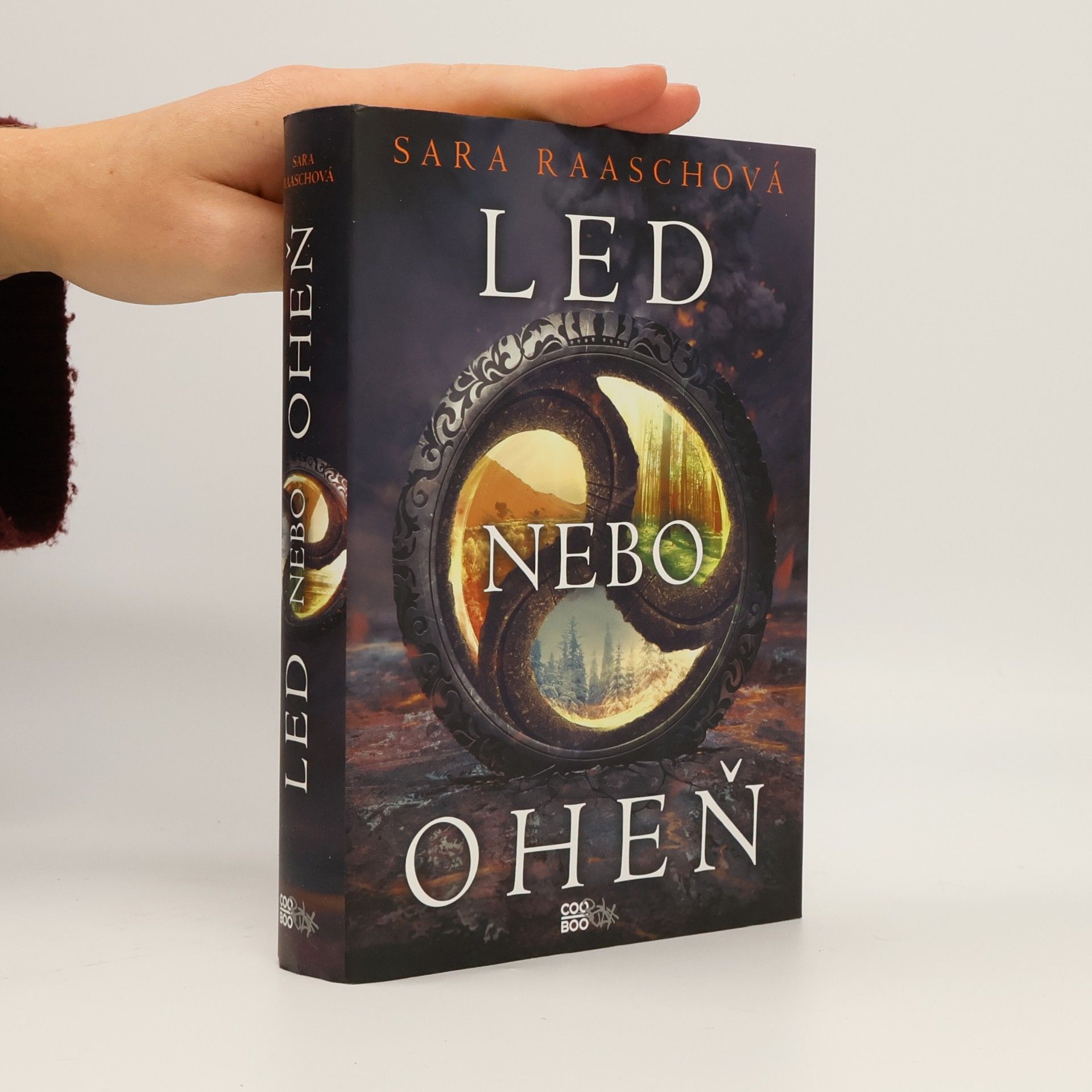 Sara Raash Led nebo oheň