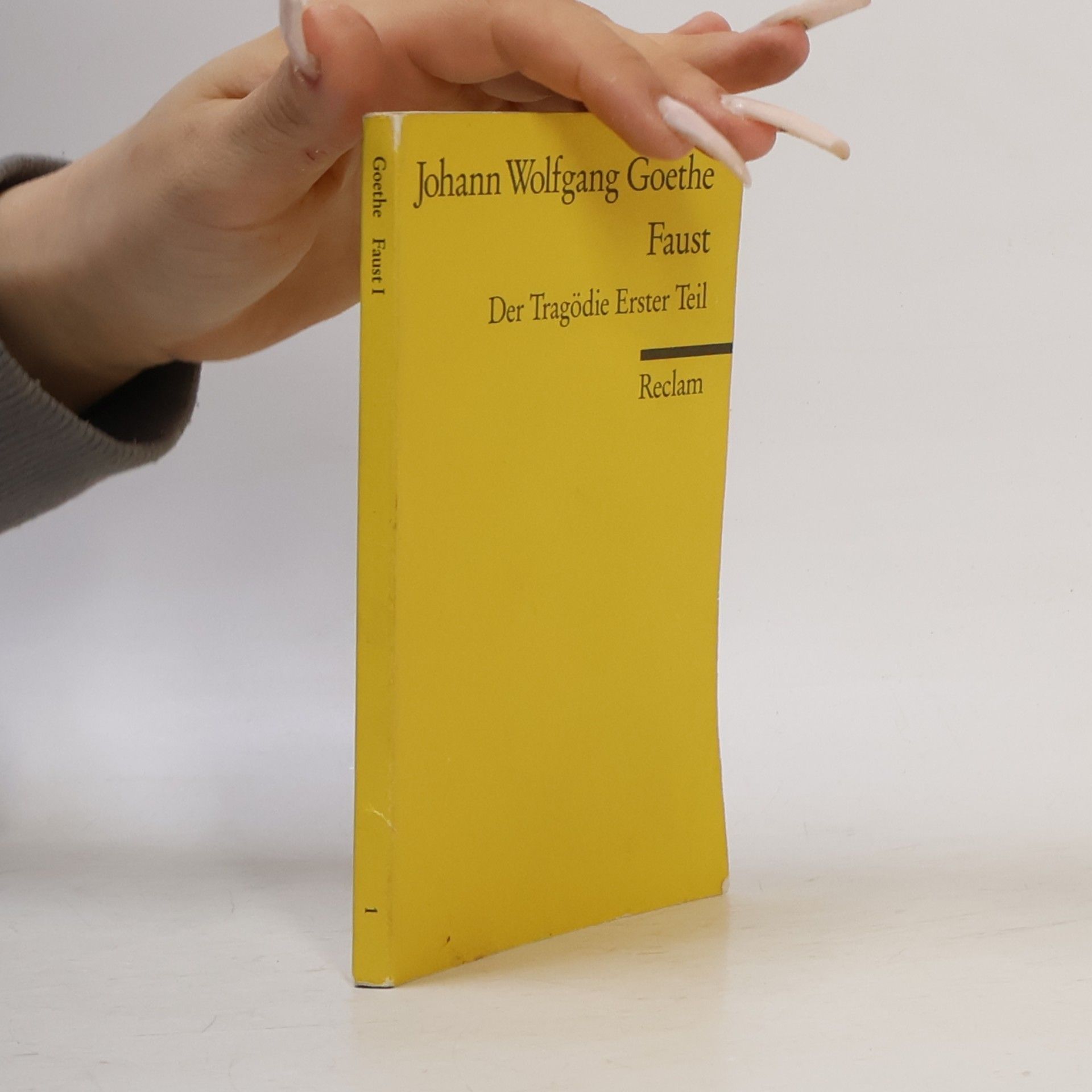 Johann Wolfgang von Goethe Faust : der Tragödie Erster teil