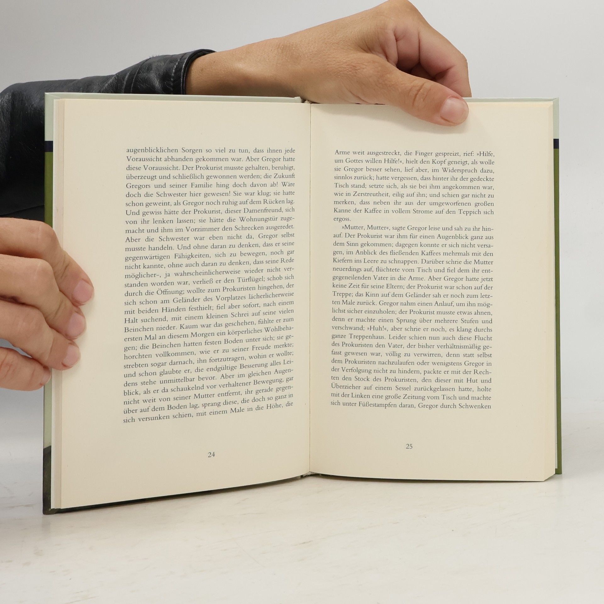 Franz Kafka Die Verwandlung