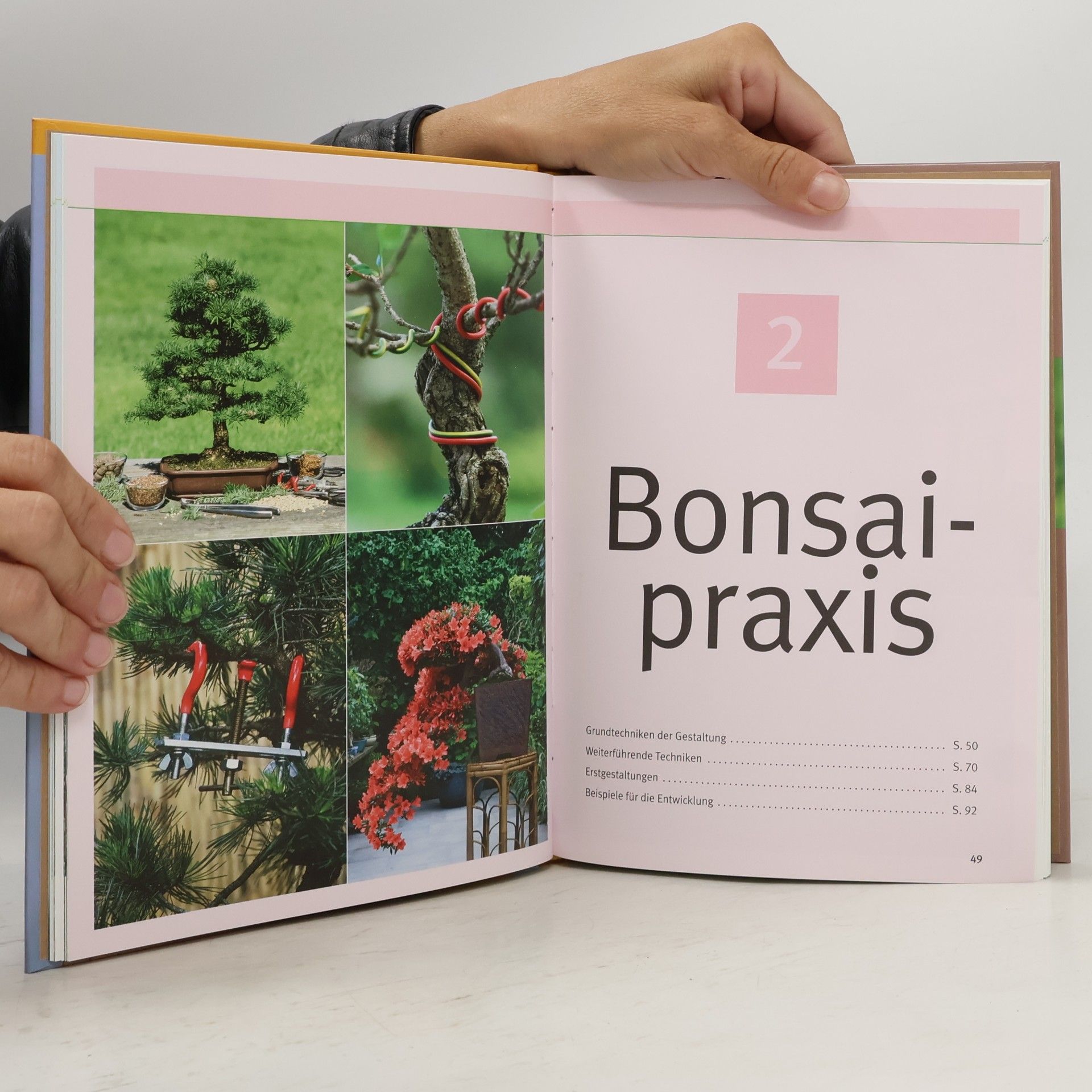 Johann Kastner Bonsai ziehen, gestalten und pflegen