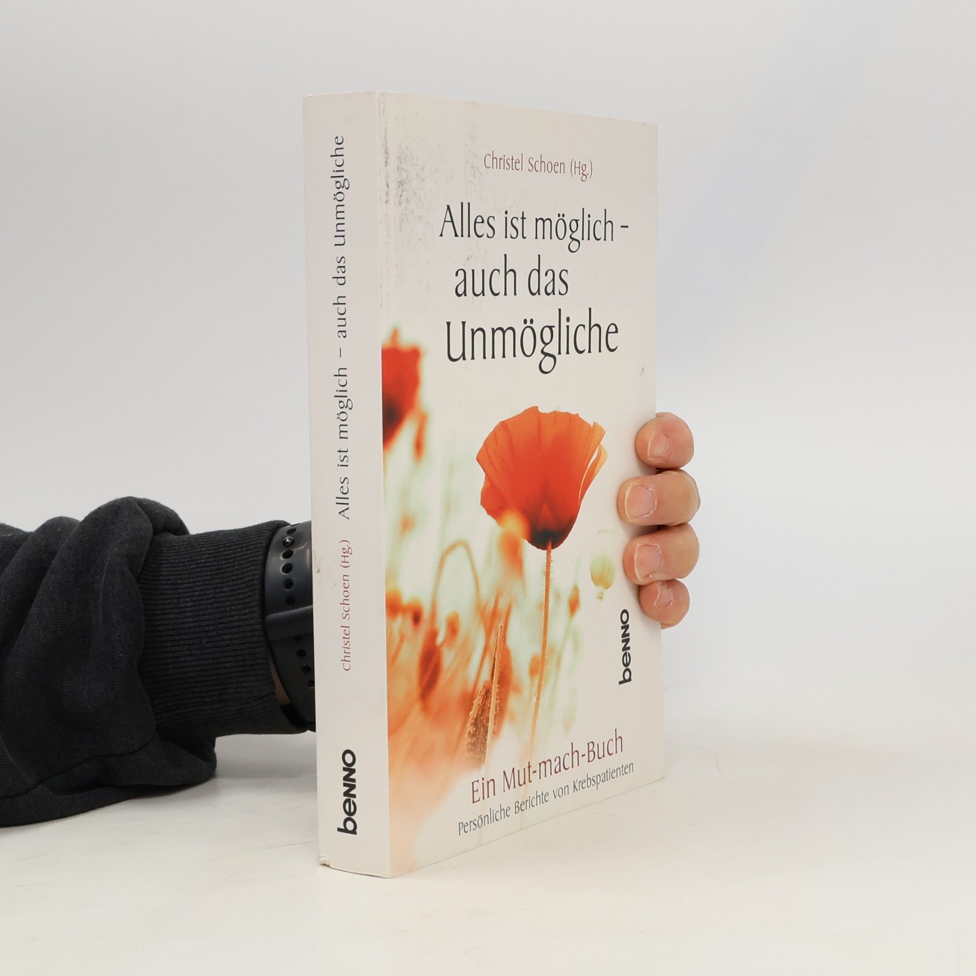 Christel Schoen Alles ist möglich - auch das Unmögliche