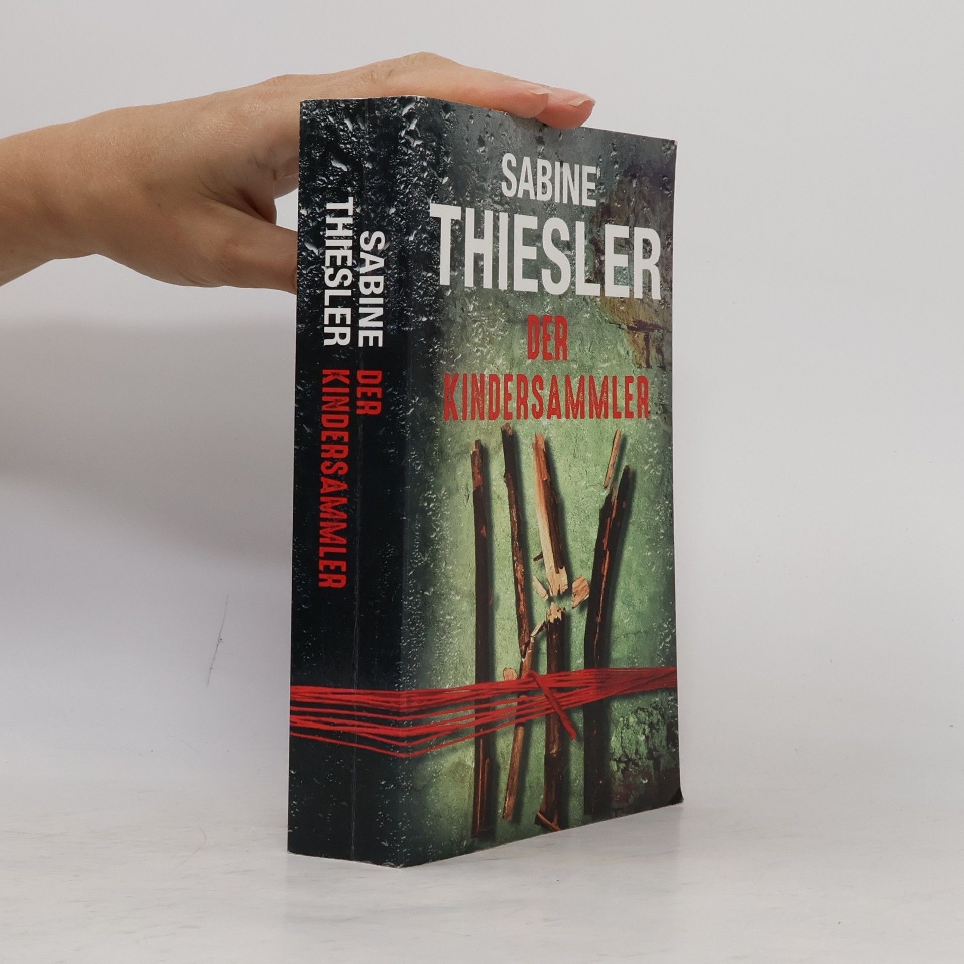 Sabine Thiesler Der Kindersammler