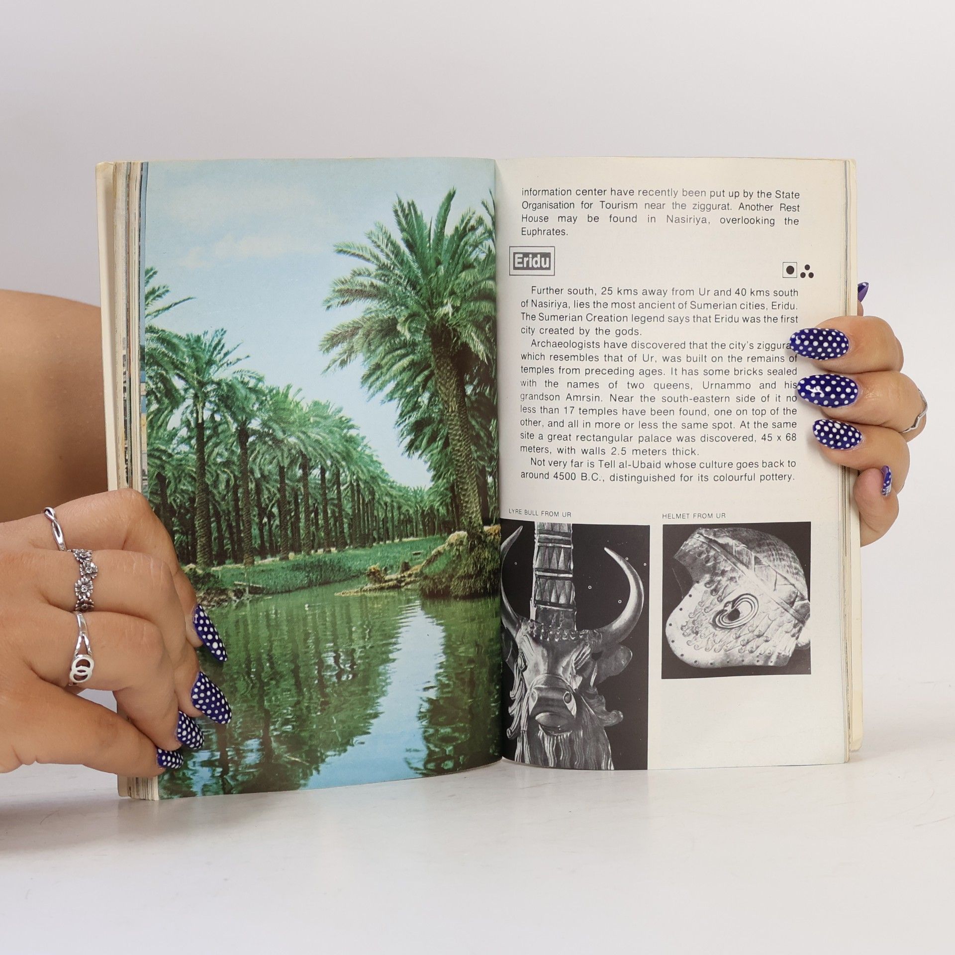 AA.VV. Iraq. A Tourist Guide