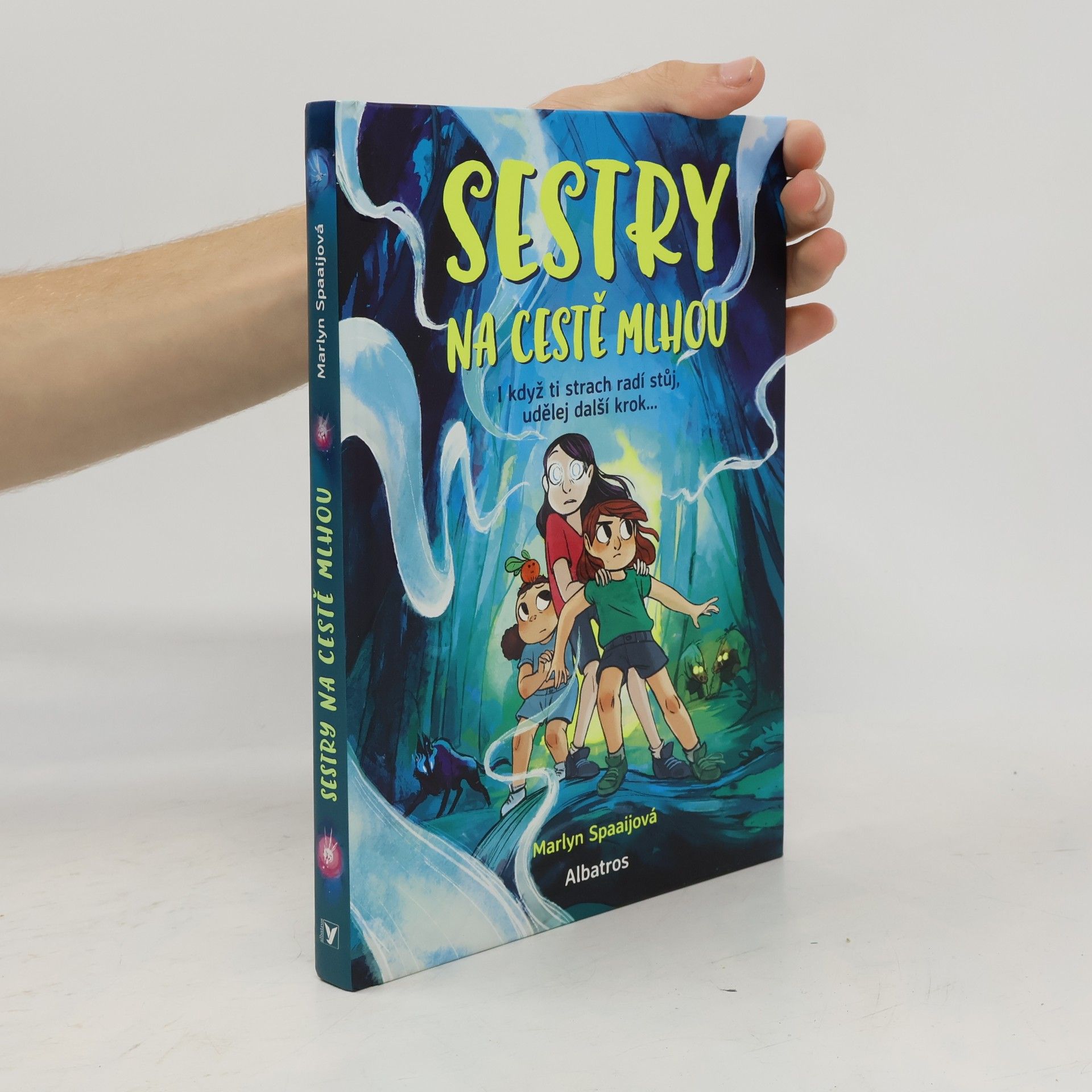 Marlyn Spaaij Sestry na cestě mlhou