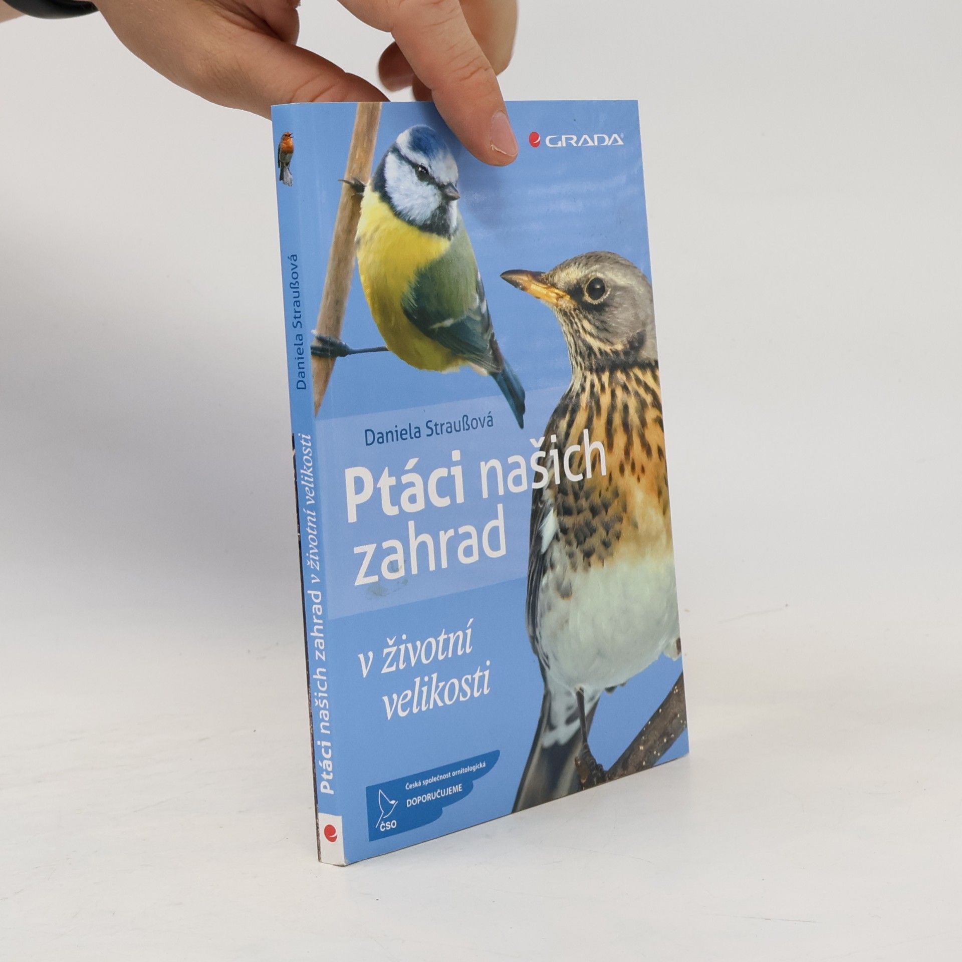 Daniela Strauß Ptáci našich zahrad : v životní velikosti