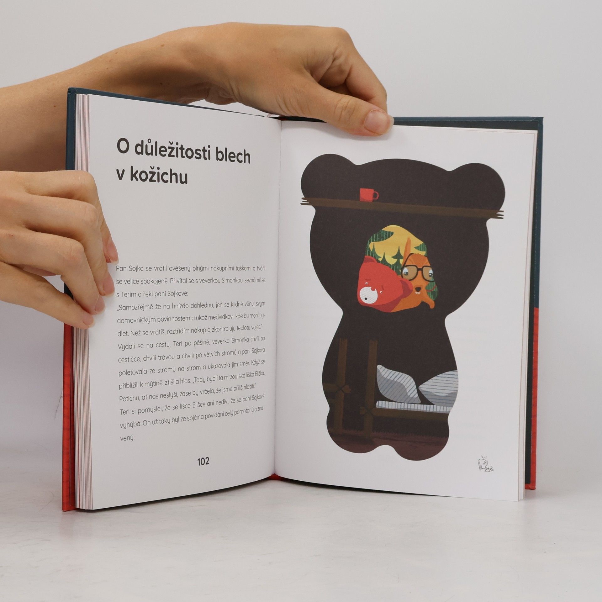 Alena Mornštajnová Teribear