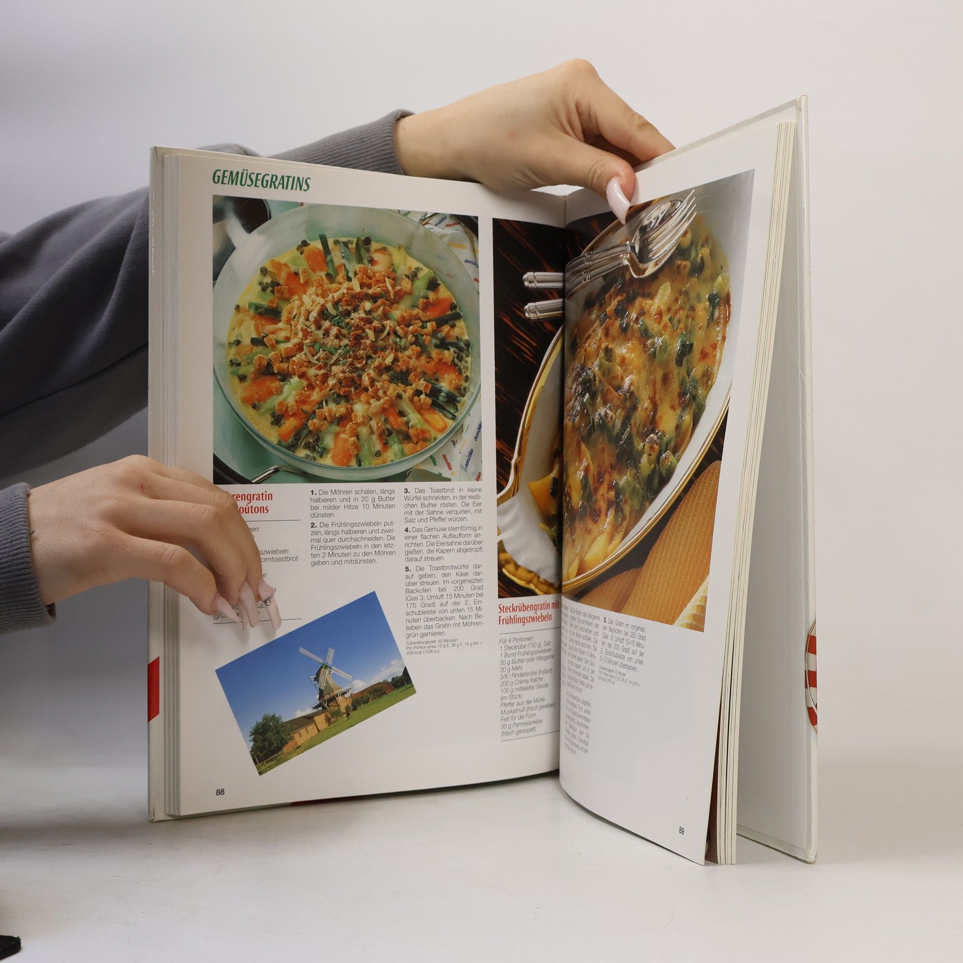 Sabine Zarling Das grosse Buch der Aufläufe und Gratins