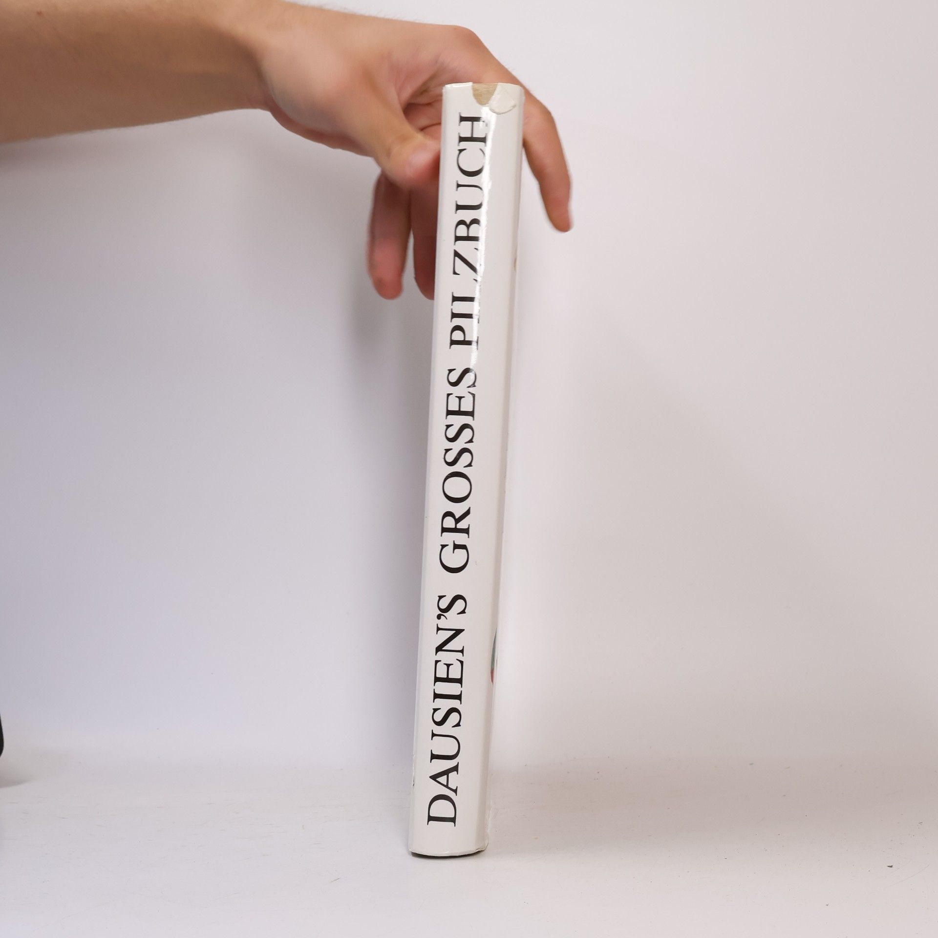 Mirko Svrček Dausien's grosses Pilzbuch in Farbe