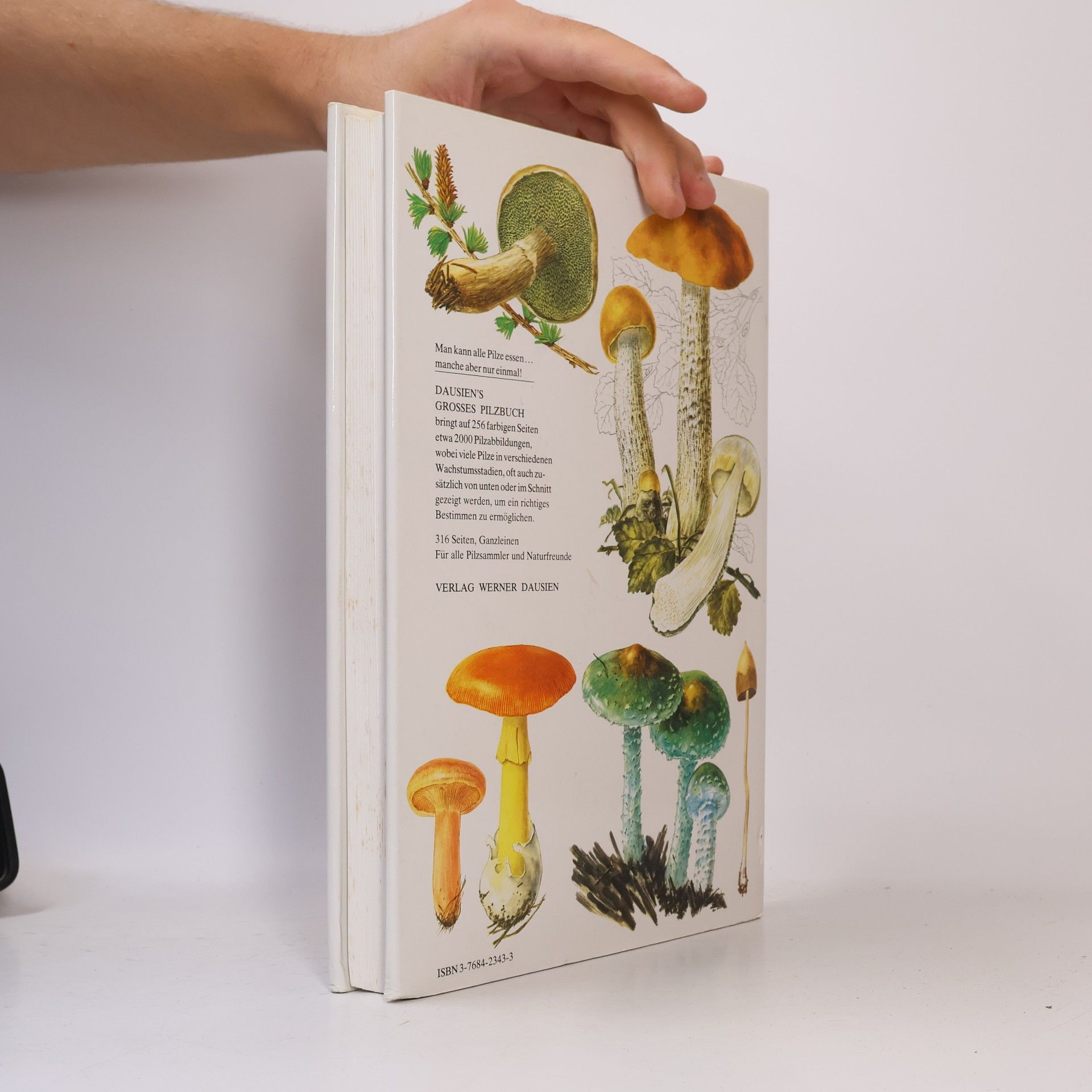 Mirko Svrček Dausien's grosses Pilzbuch in Farbe