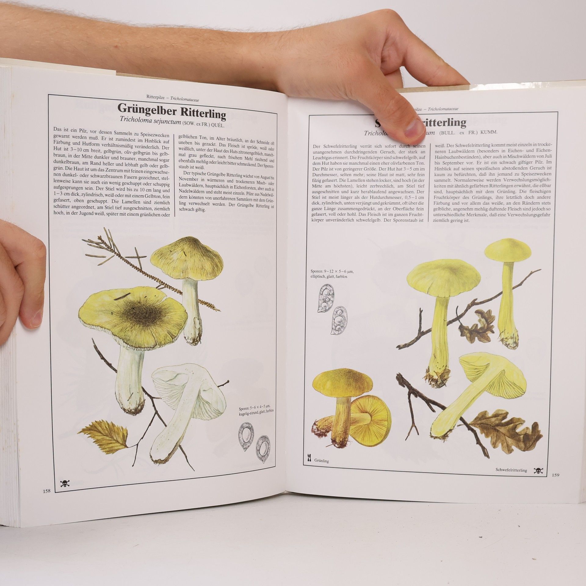 Mirko Svrček Dausien's grosses Pilzbuch in Farbe