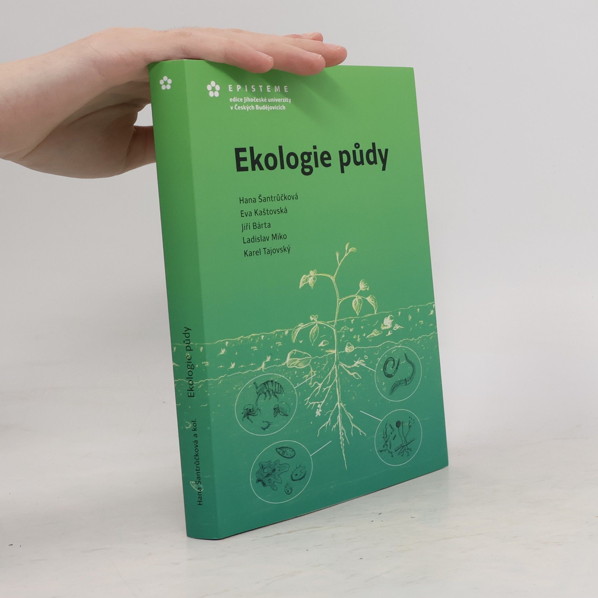 Eva Kaštovská Ekologie půdy