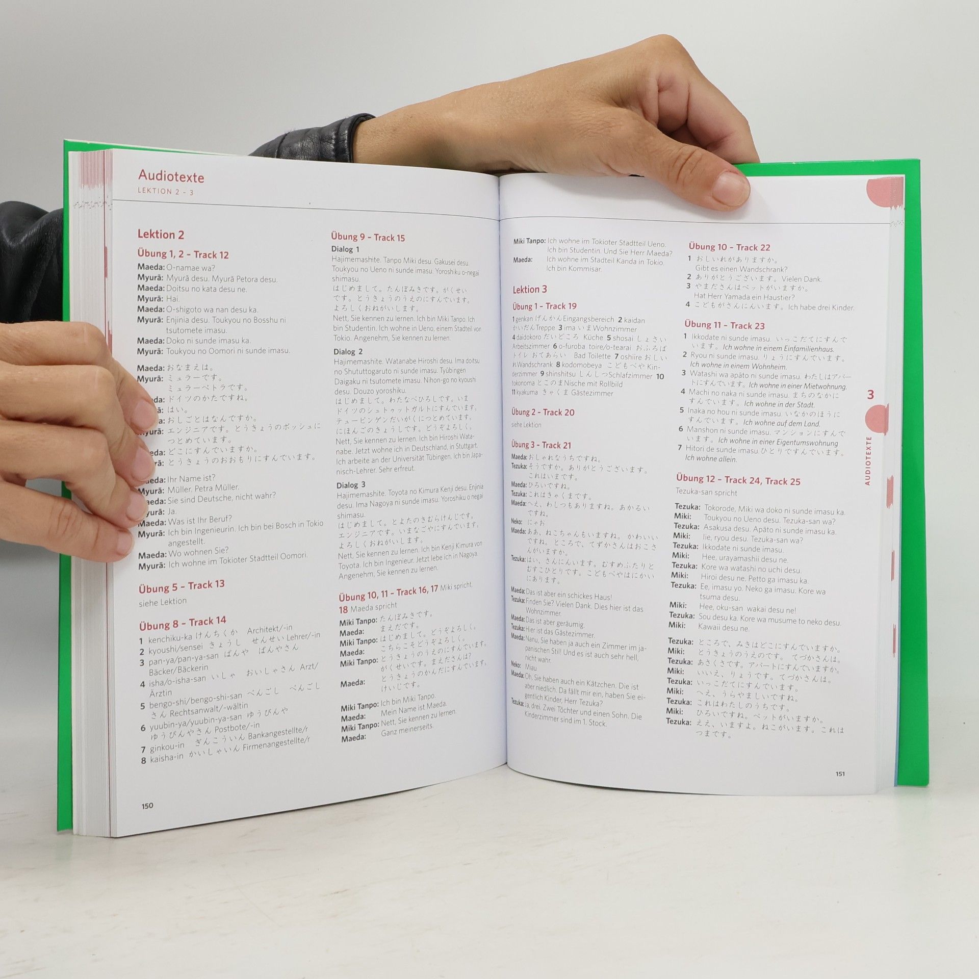 Autorenkollektiv Power-Sprachkurs Japanisch 1