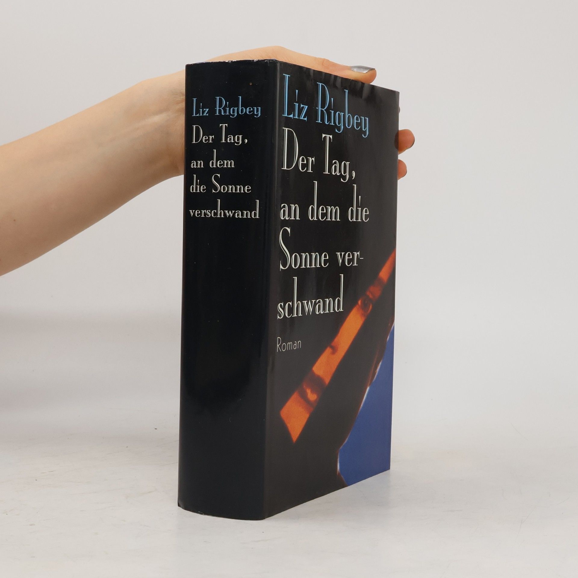 Liz Rigbey Der Tag, an dem die Sonne verschwand