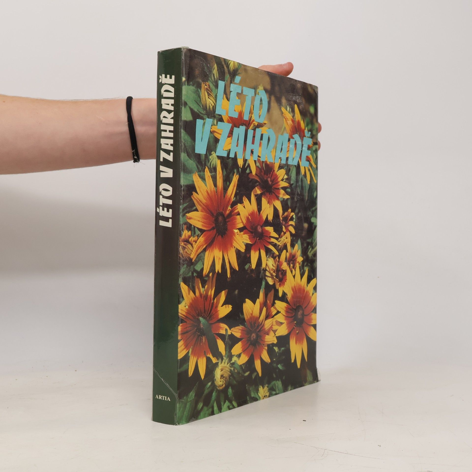Collectif d'auteurs Léto v zahradě