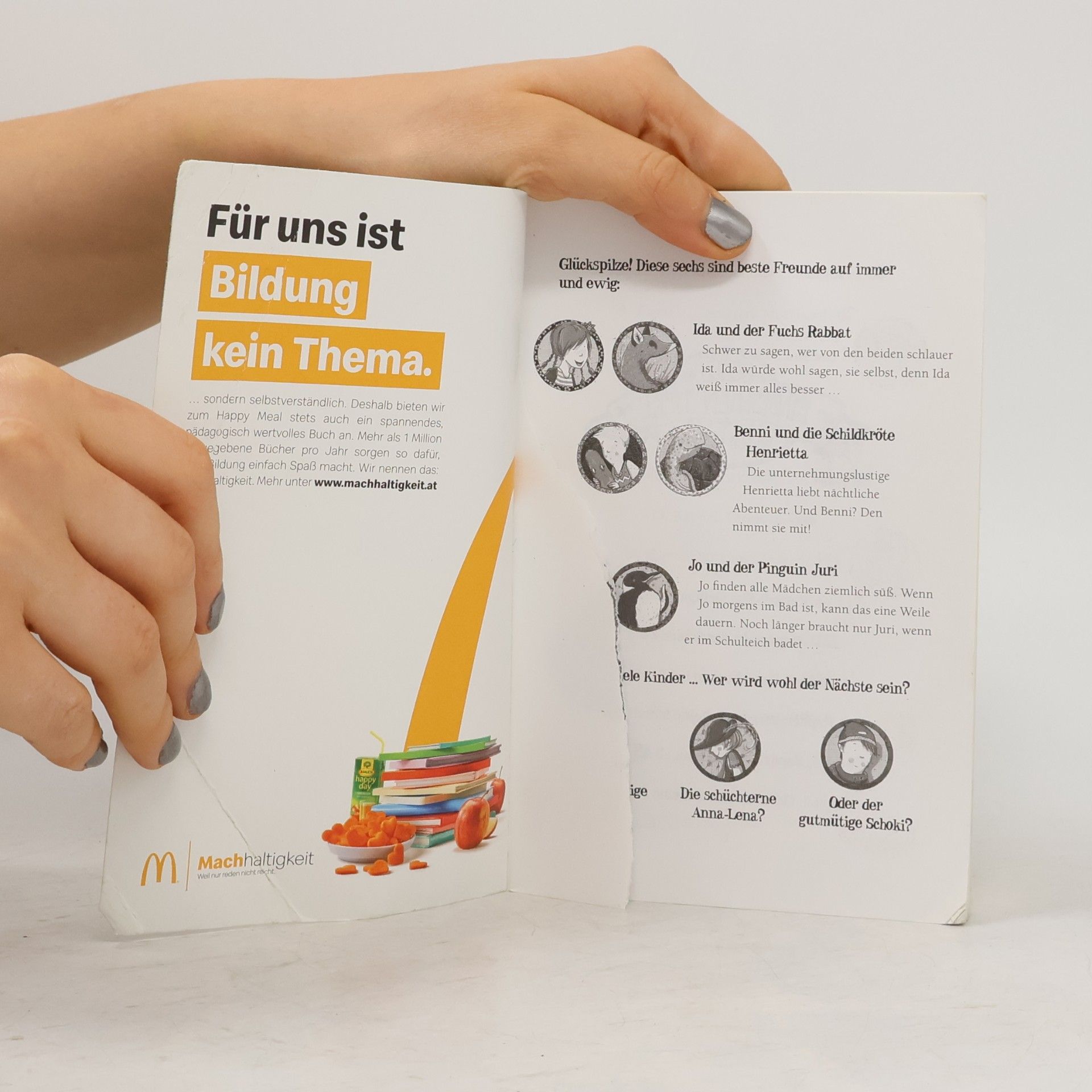 Margit Auer Die Schule Der Magischen Tiere. Voller Löcher!