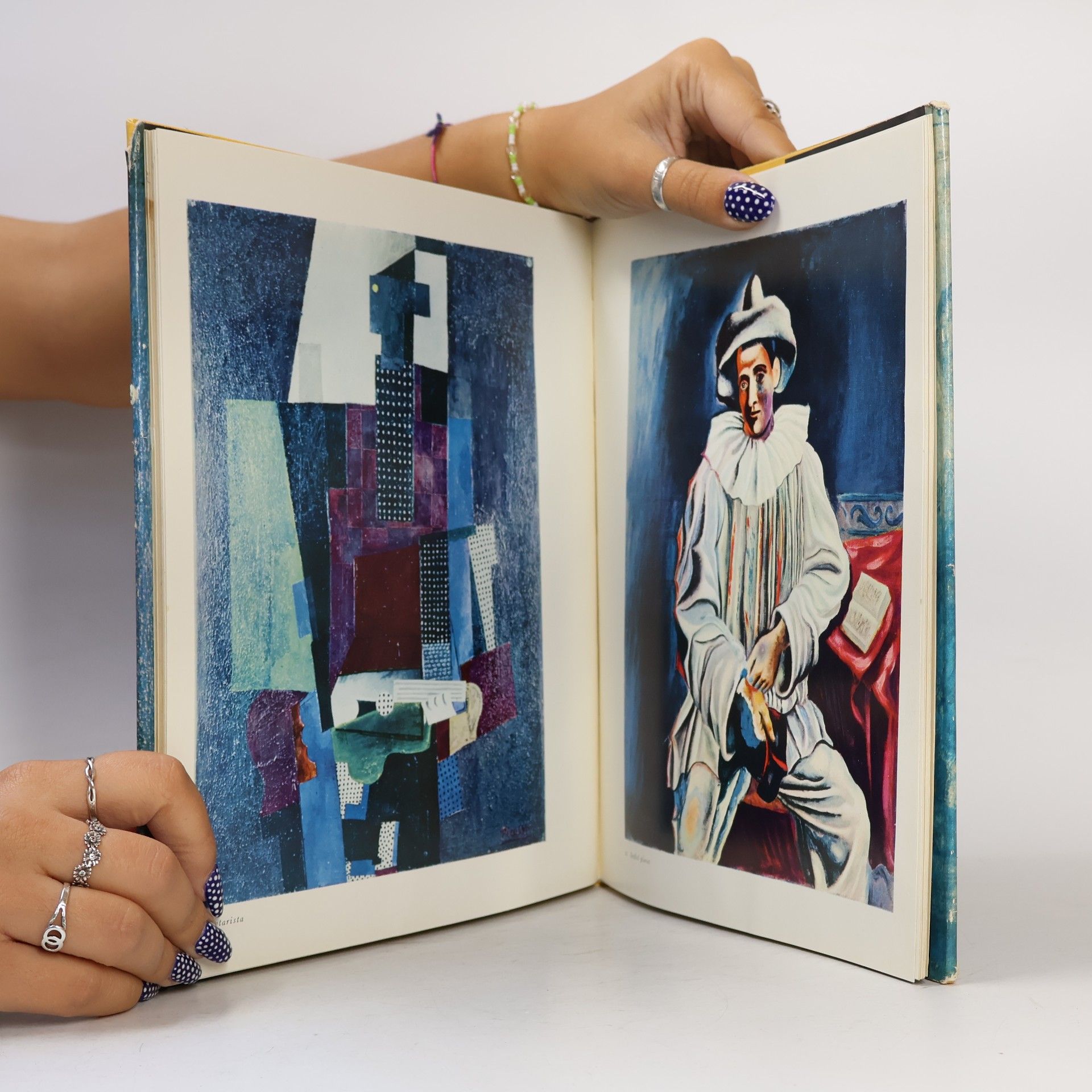 Jan Caha Pablo Picasso