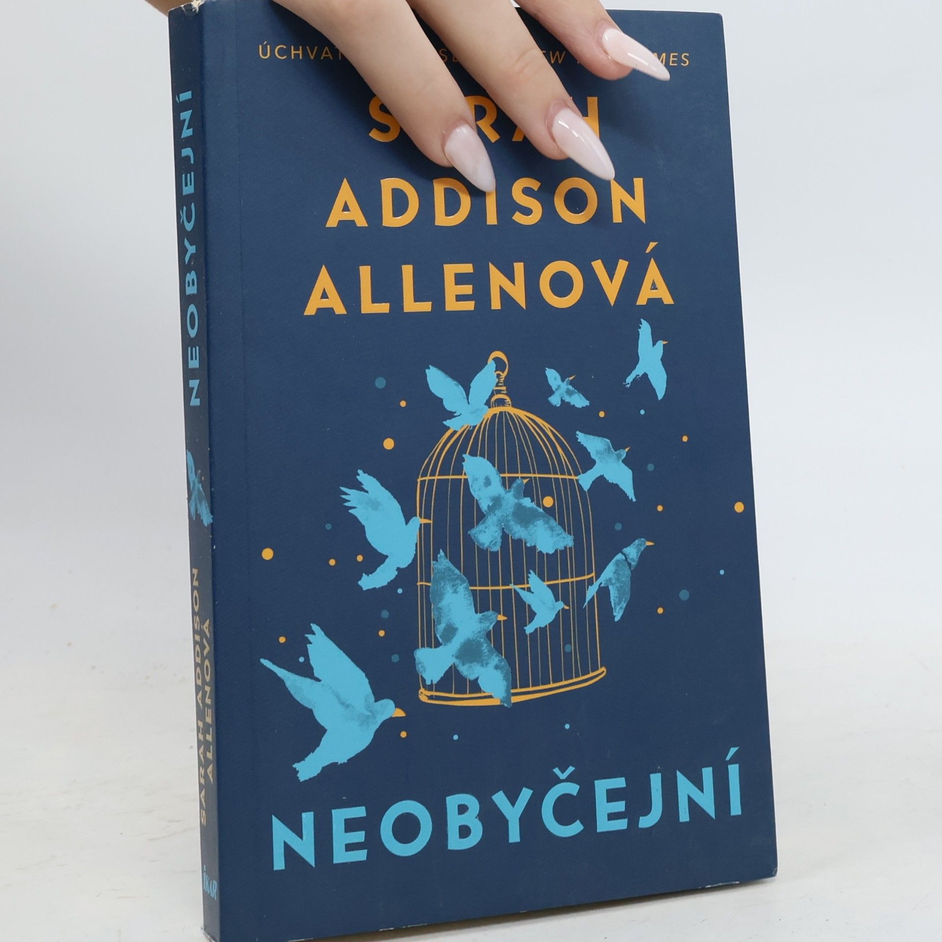 Sarah Addison Allen Neobyčejní