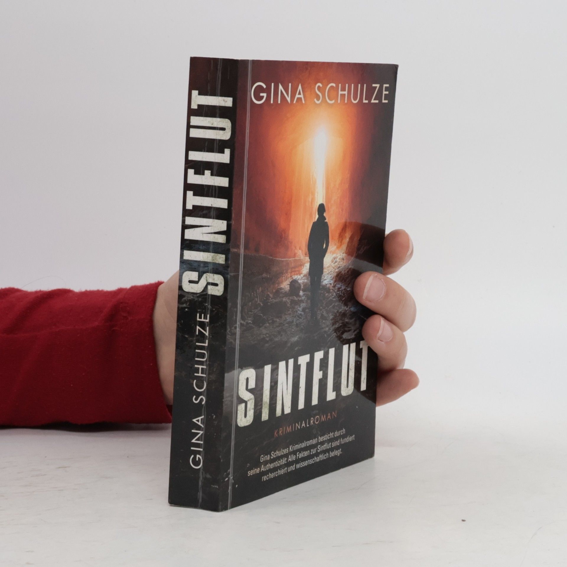 Gina Schulze Sintflut