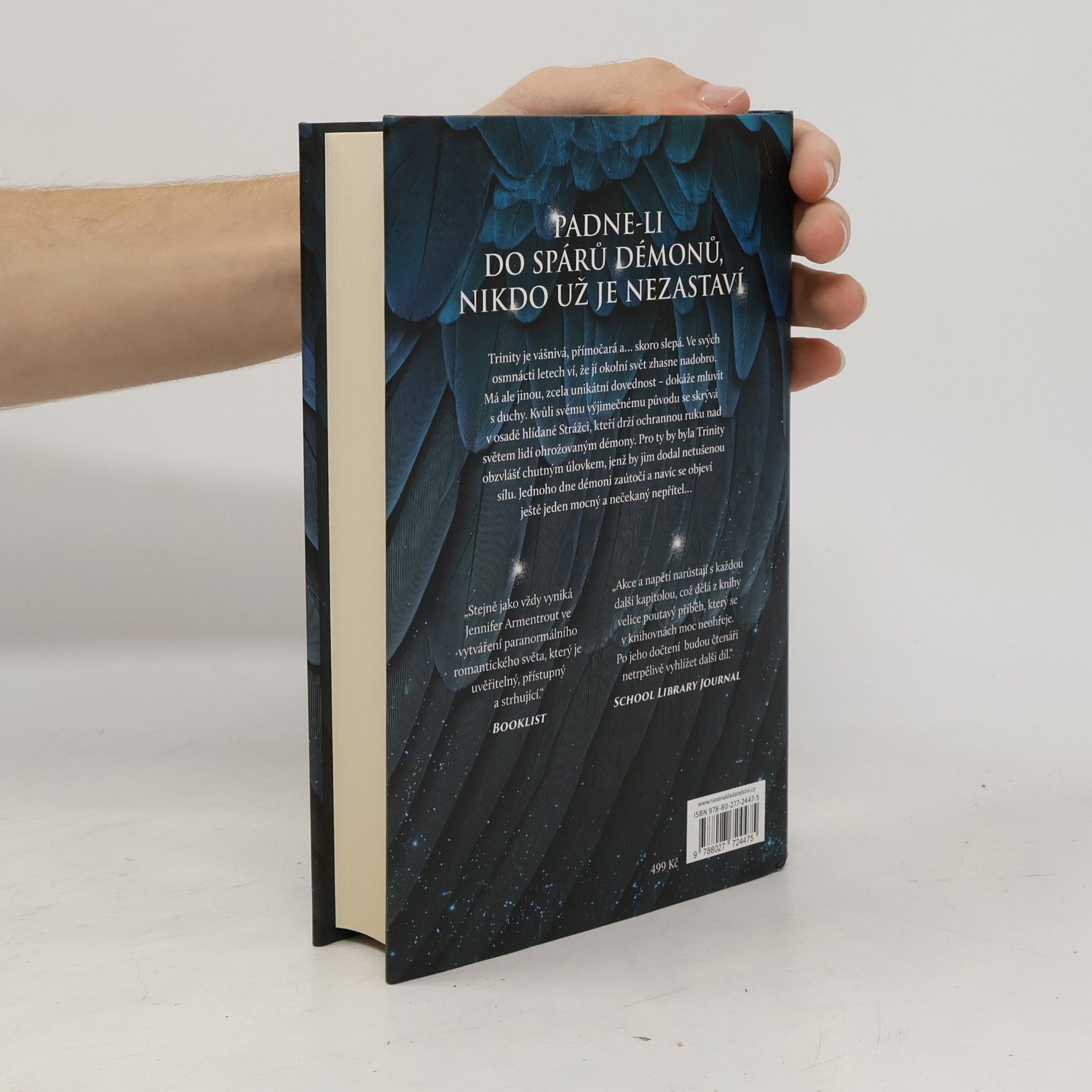 Jennifer Armentrout Bouře a běs
