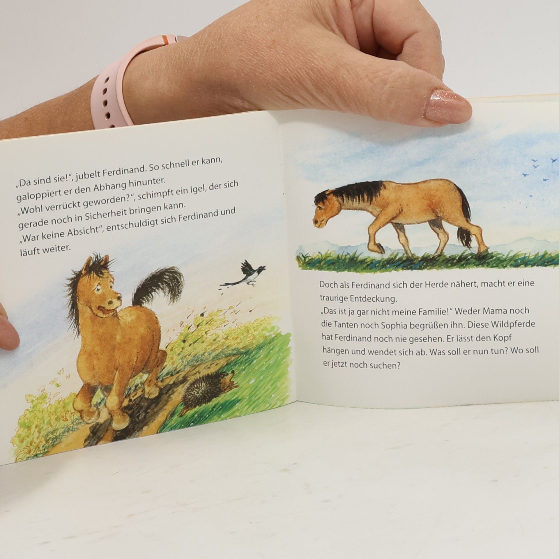 Hanna Sörensen Glück gehabt, Pony!