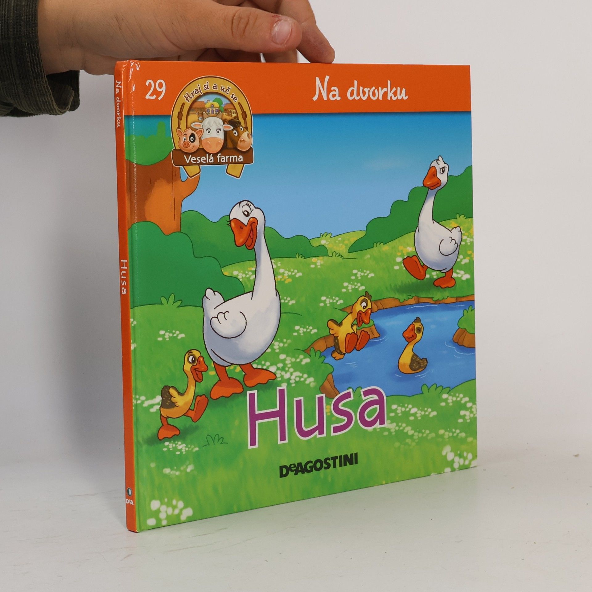 Kolektív autorov Na dvorku 29. Husa