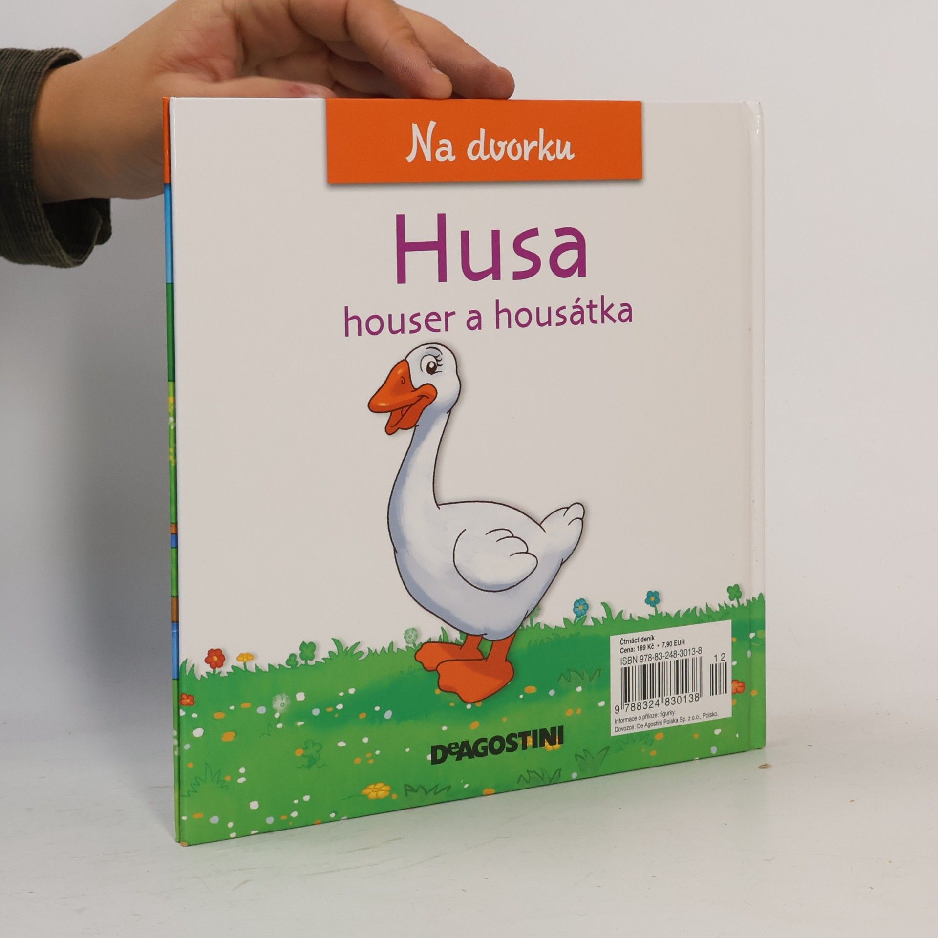 Kolektív autorov Na dvorku 29. Husa